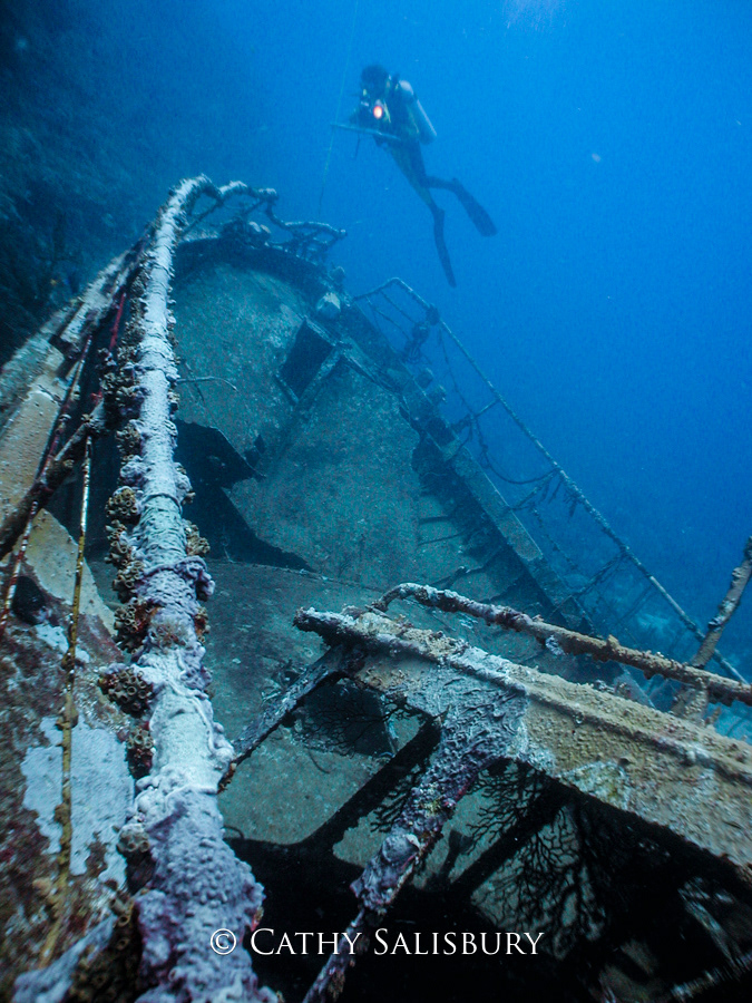 Spelonk Wrecks, Bonaire by Cathy Salisbury