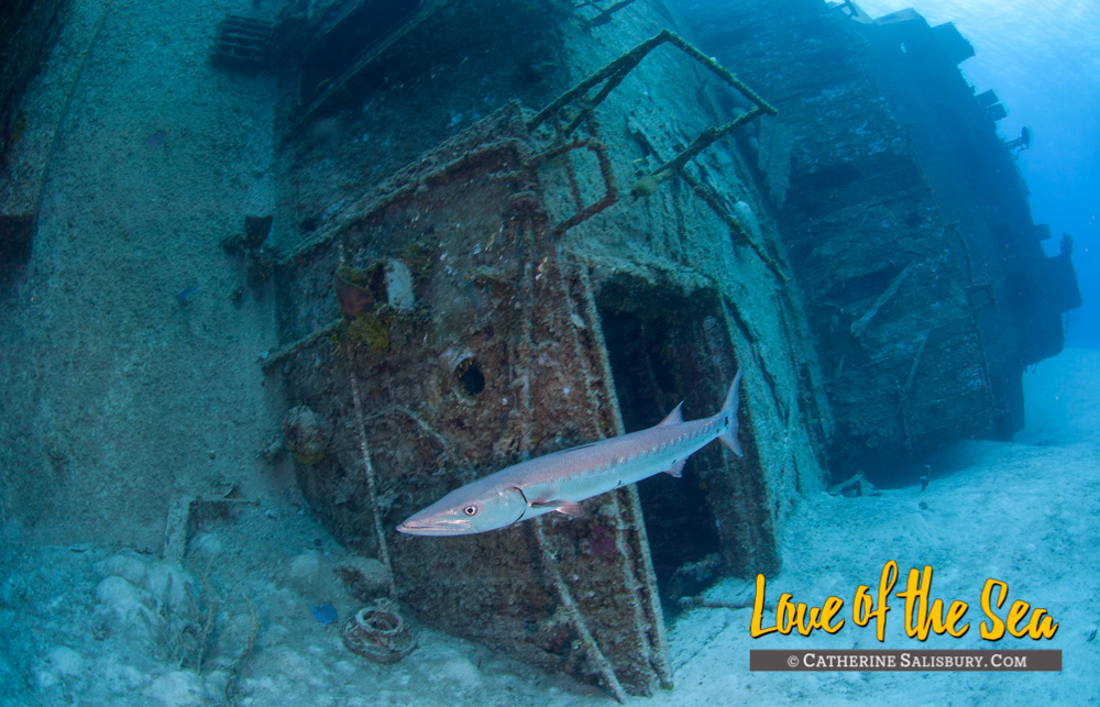 M/V Captain Keith Tibbetts, Cayman Brac by Cathy Salisbury