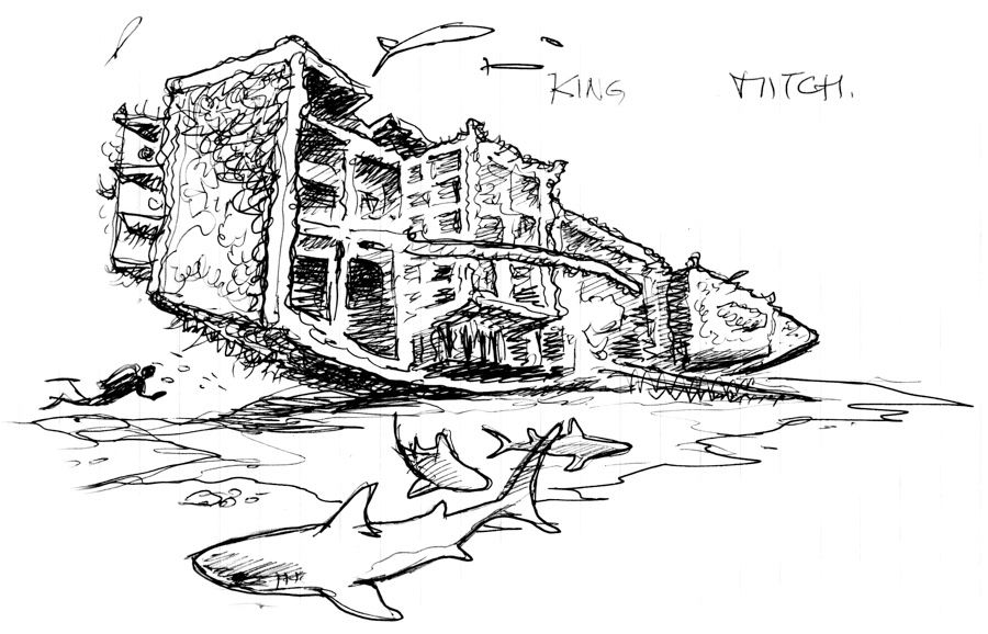 King Mitch shipwreck, Grenada by Dominique Serafini