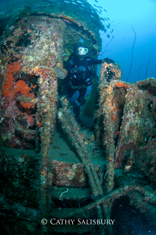 Superior Producer, Curacao by Cathy Salisbury