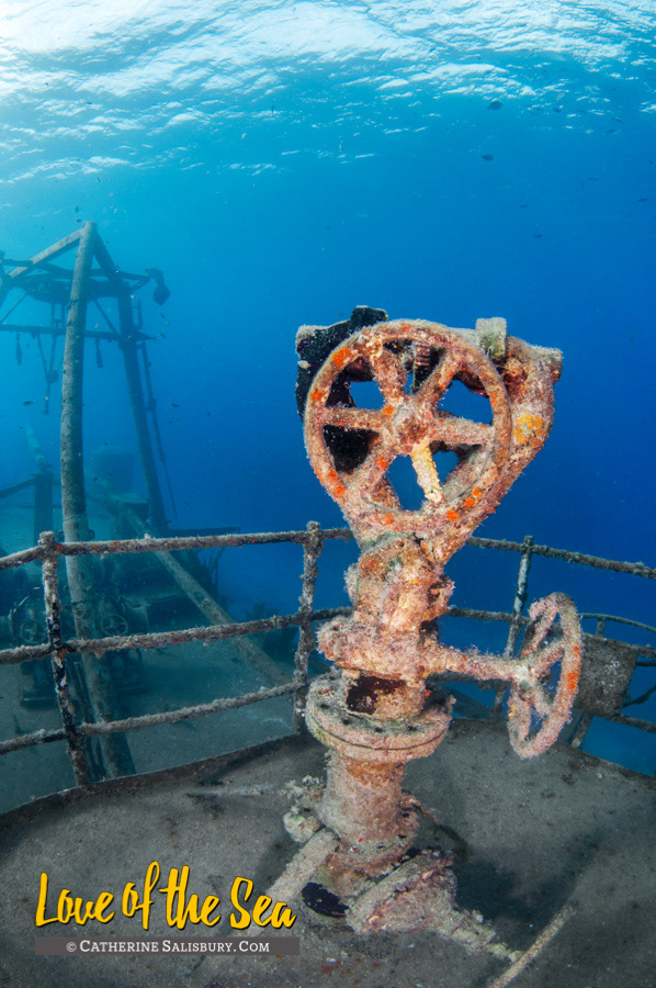 USS Kittiwake, Grand Cayman by Cathy Salisbury