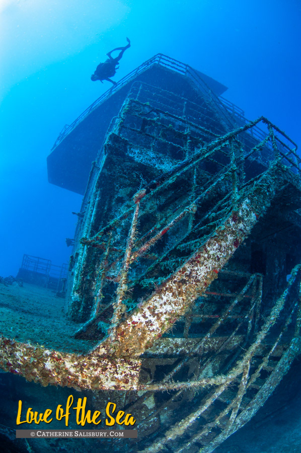 The Odyssey shipwreck, Roatan, Honduras by Cathy Salisbury