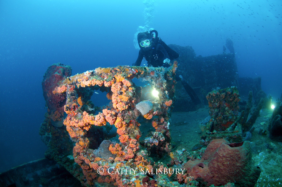 Superior Producer, Curacao by Cathy Salisbury