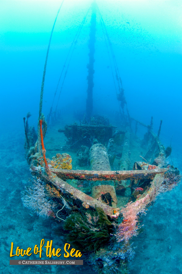 The wreck of The Nahoon, Martinique by Cathy Salisbury