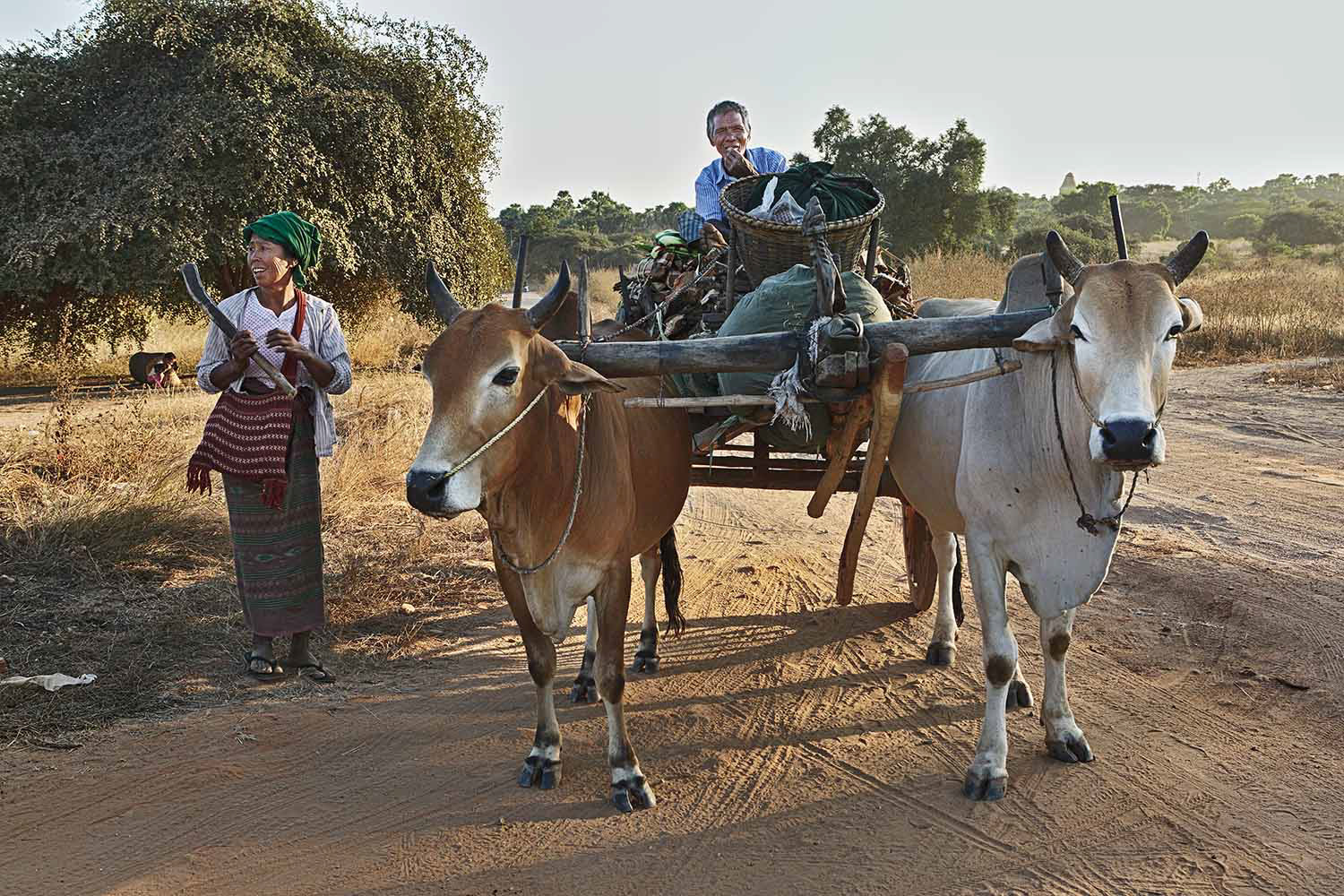 Bagan