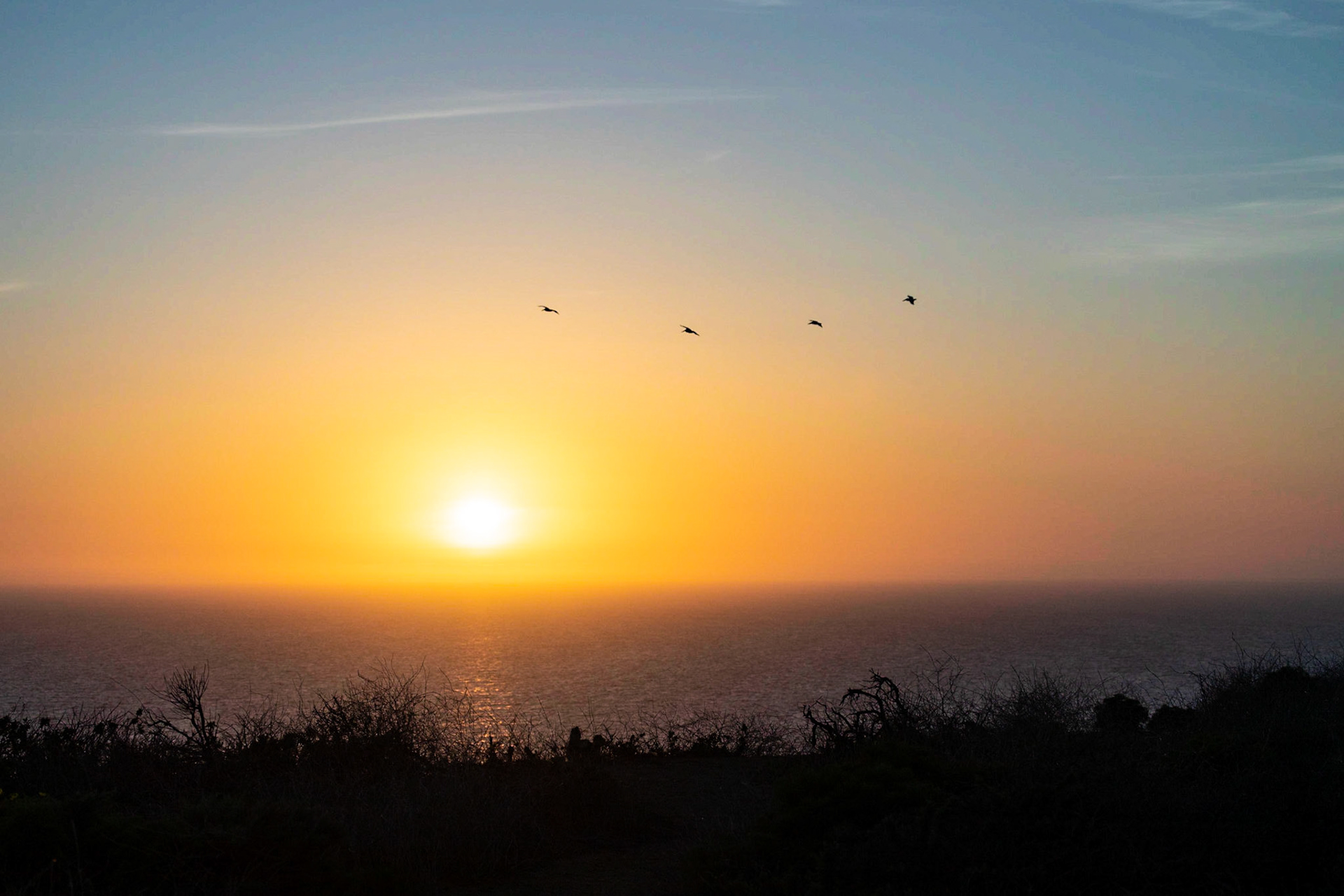 Entardecer na baía de São Franciso, Ca.