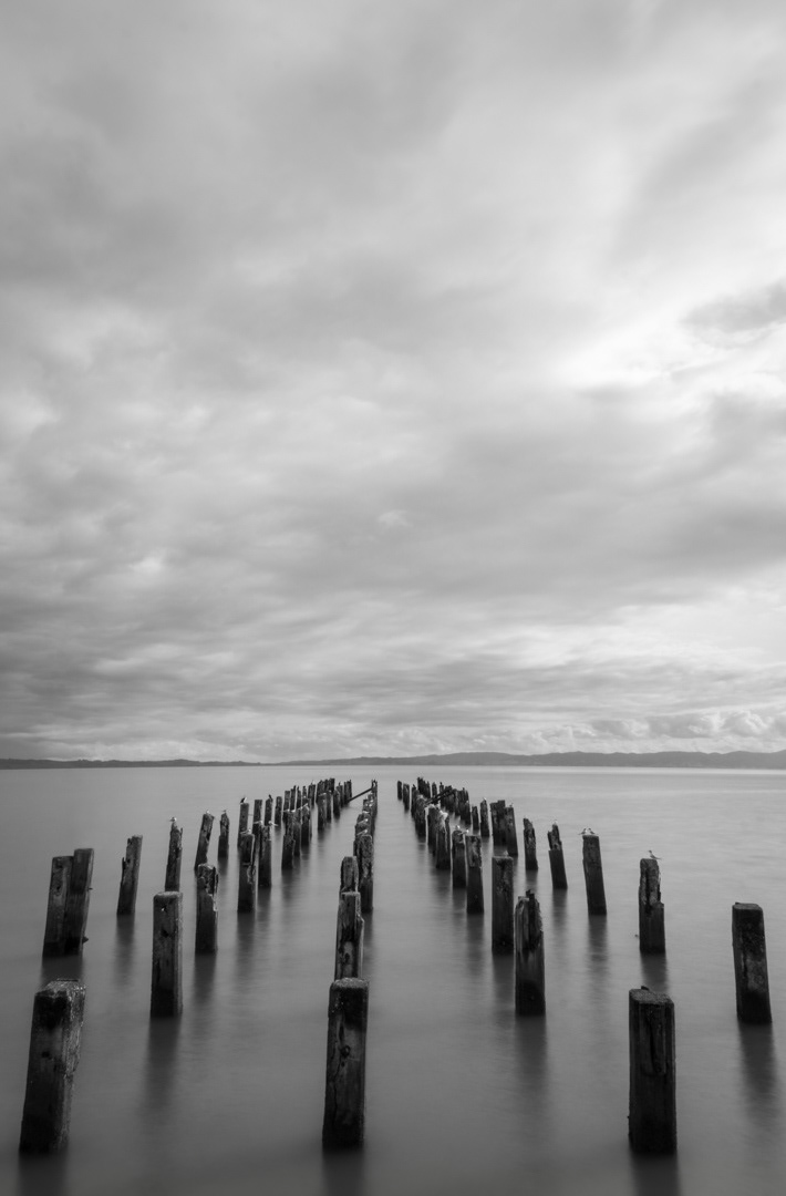 THAMES PILES BW