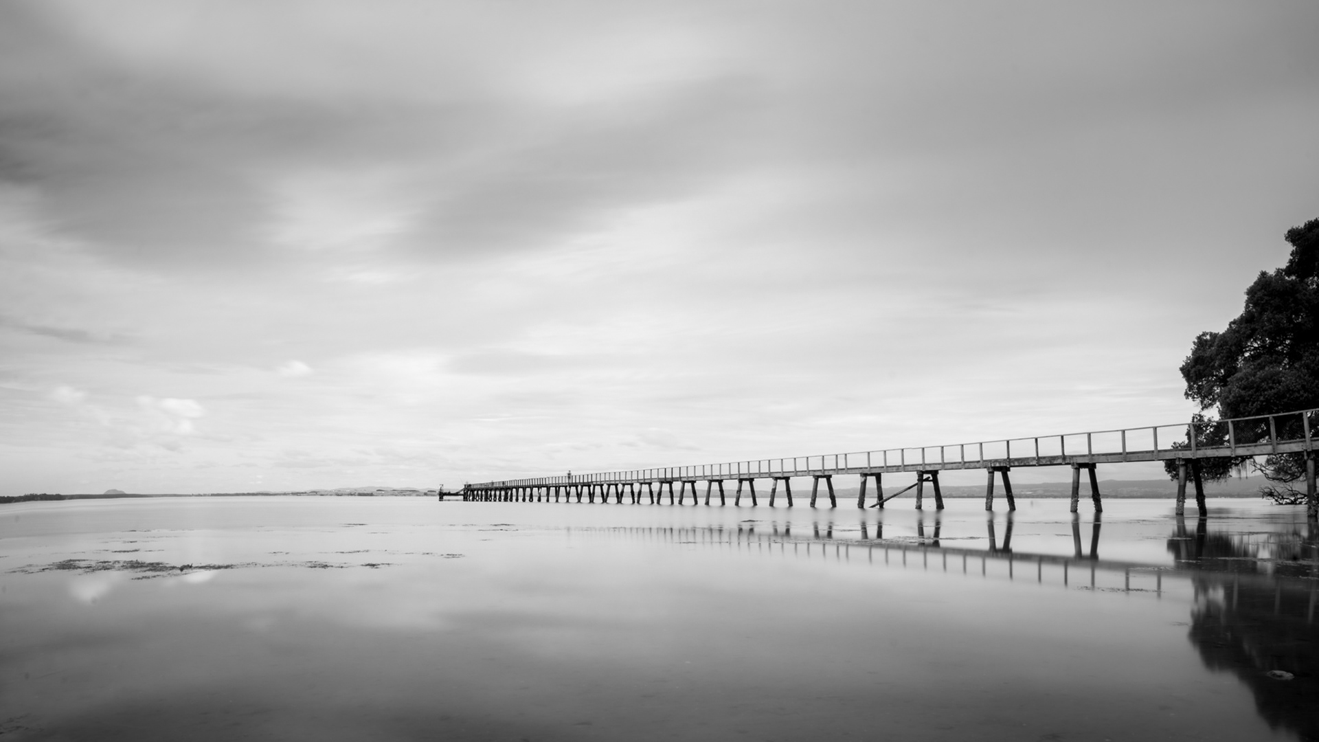 KAURI POINT WHARF BW 3
