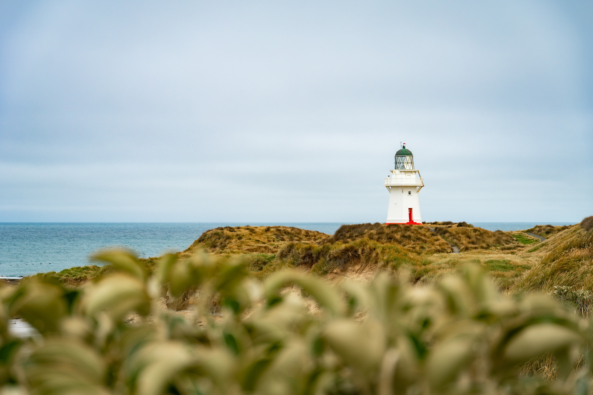 WAIPAPA POINT