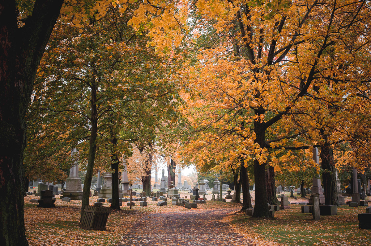 Photography of Buffalo, NY - forest lawn cemetery