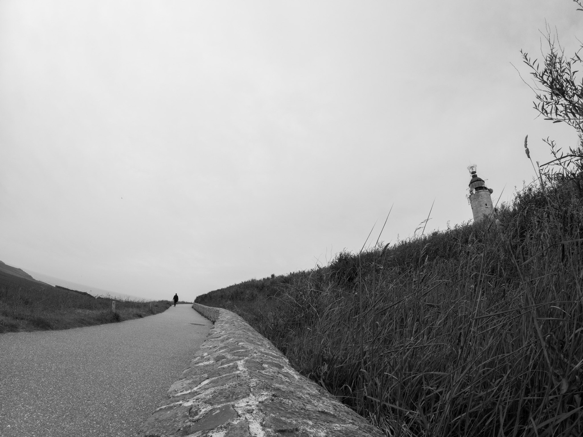 Cap Gris Nez - Pas De Calais - France