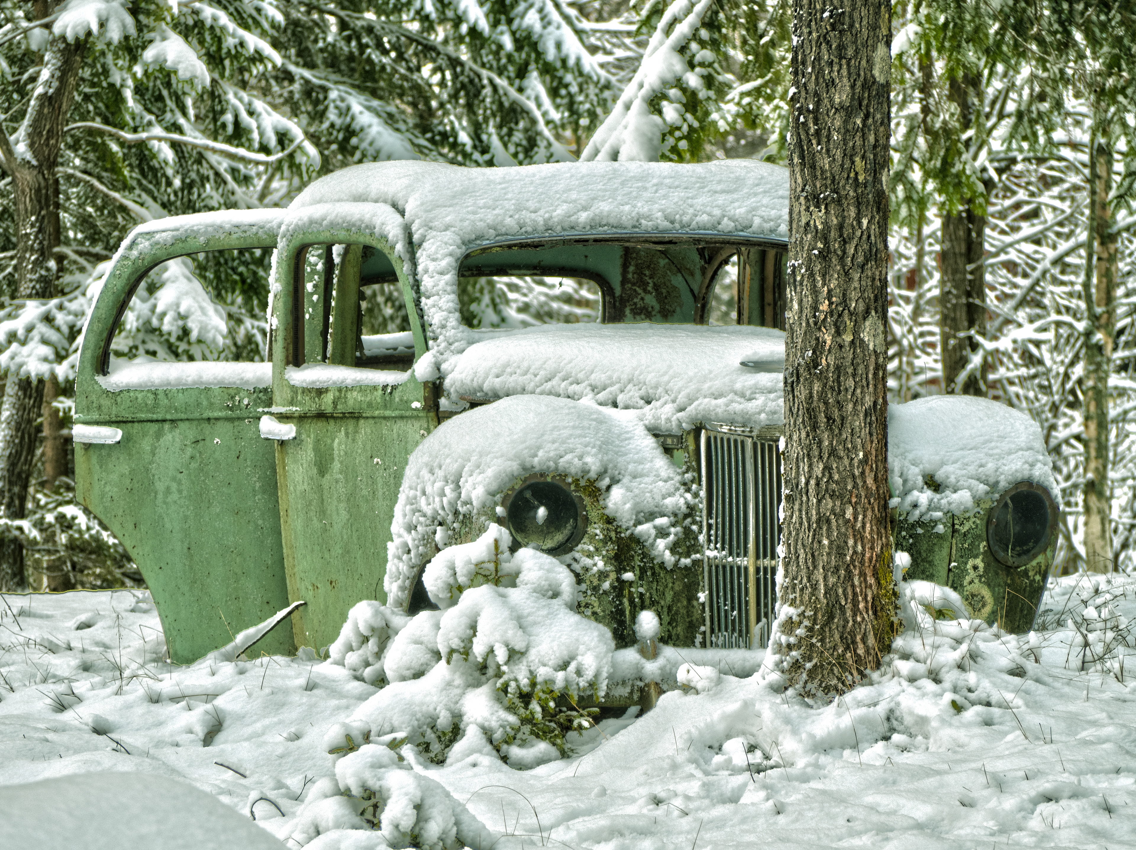 Snow covered old vintage Ford Prefect abandoned in the woods