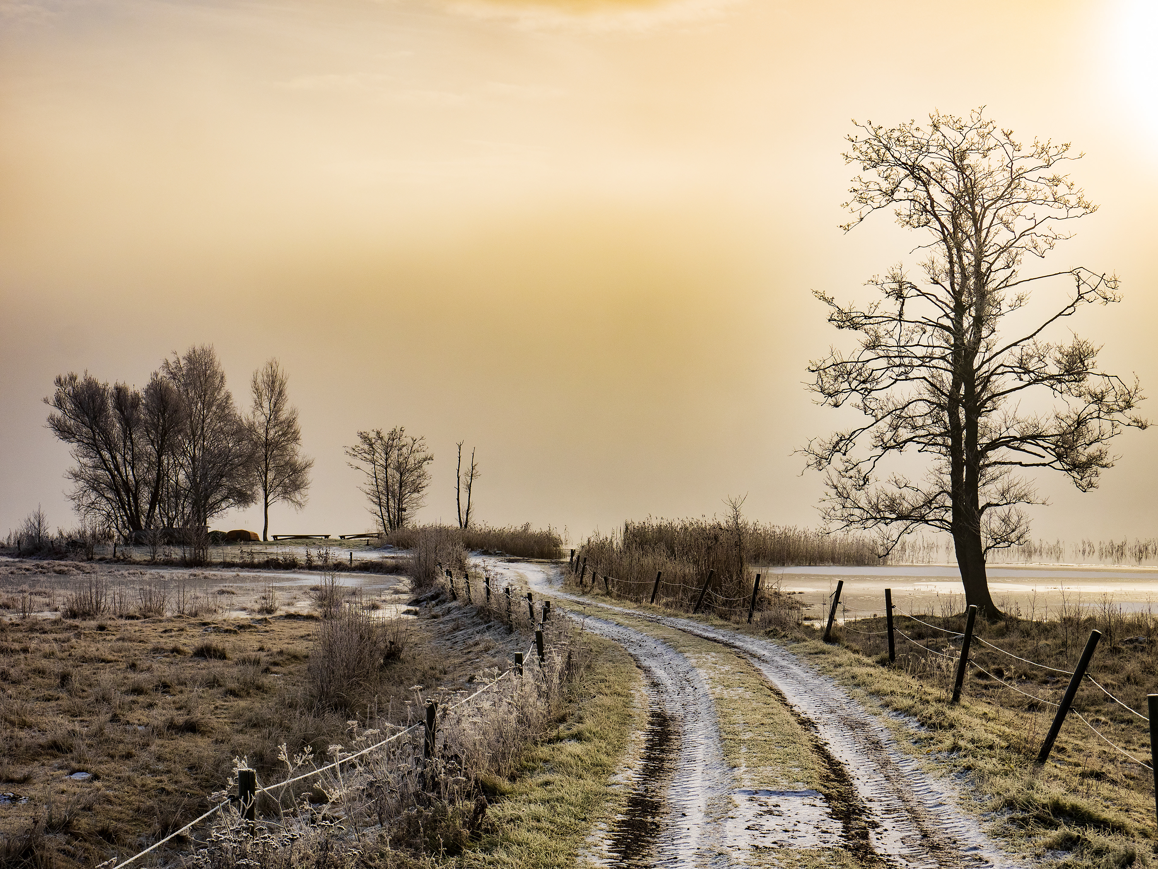 Primitive country road leading to edge of a frozen lake. The ground very frosty and a warm haze on a cold winter morning in Sweden