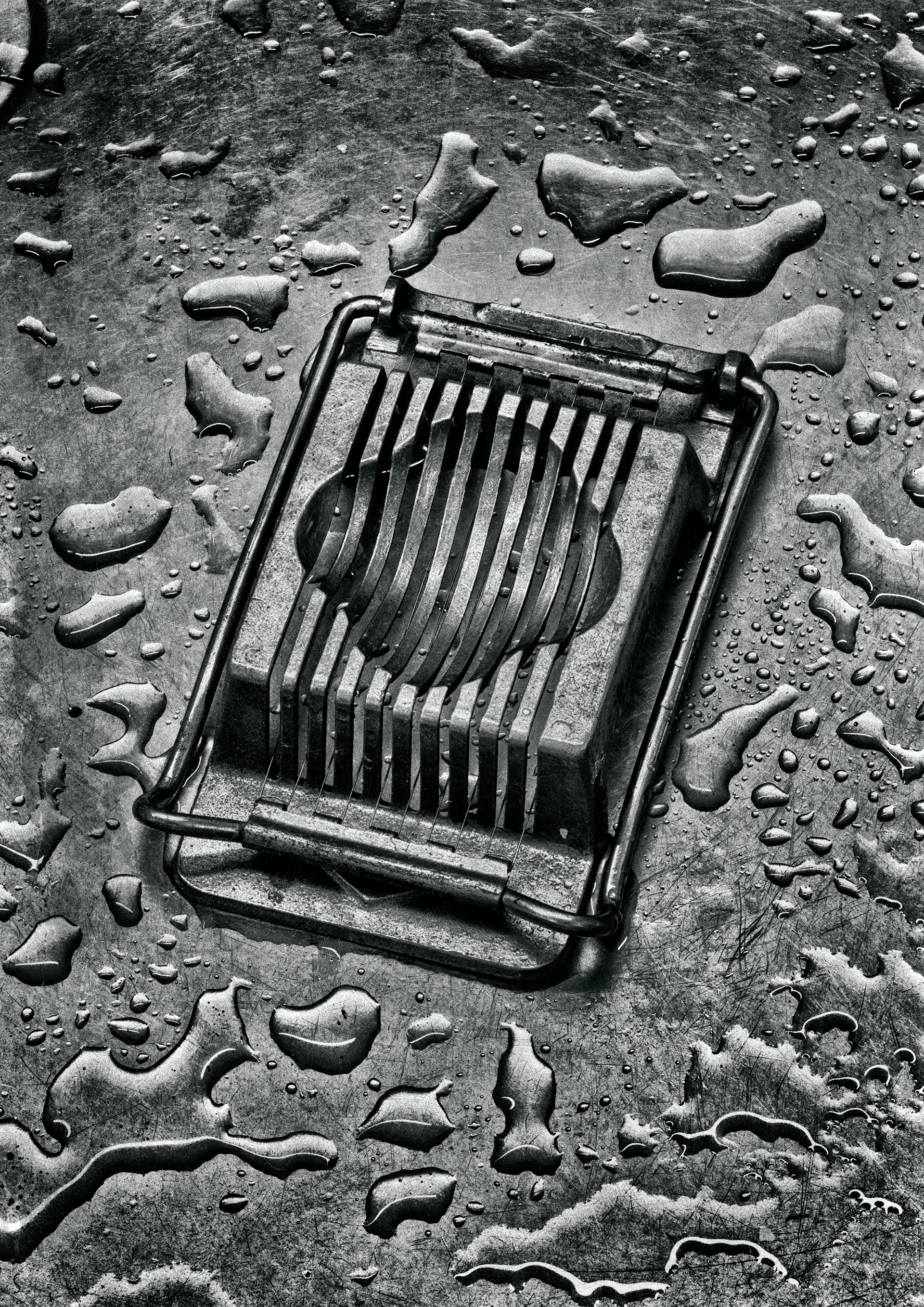 Metal egg slicer on a shiny metal surface with water drops in black and white
