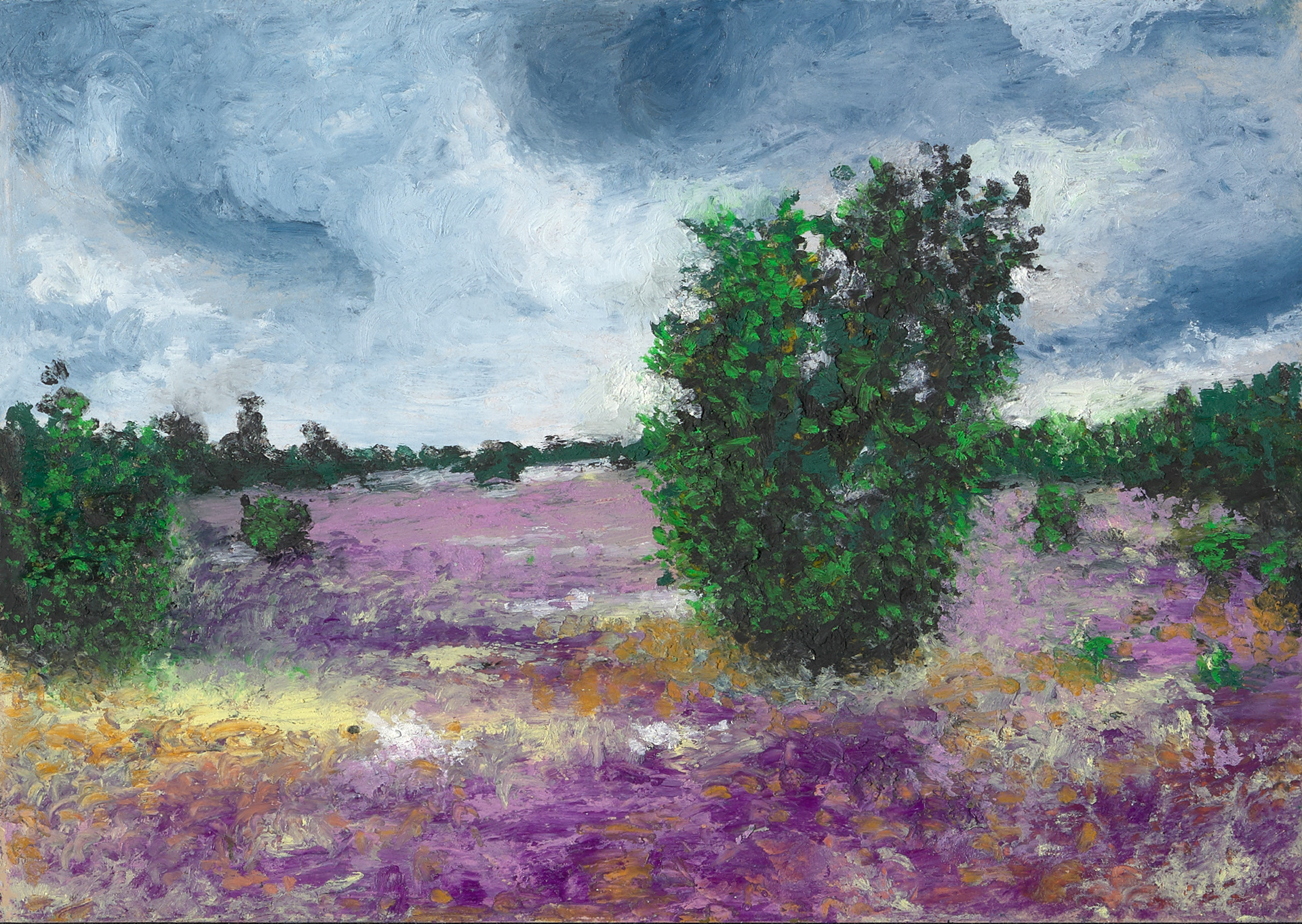 Lüneburger Heide von Arup J. Paul