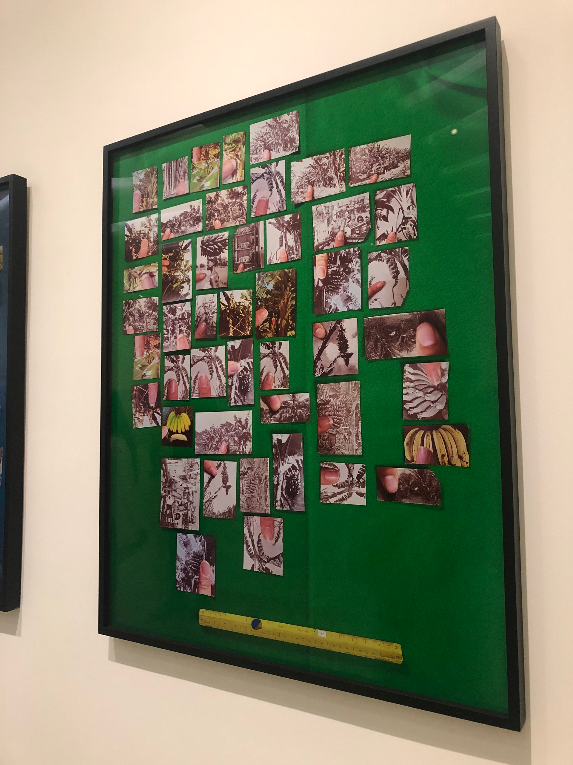Encyclopedia Grid (Bananas), Sara Cwynar