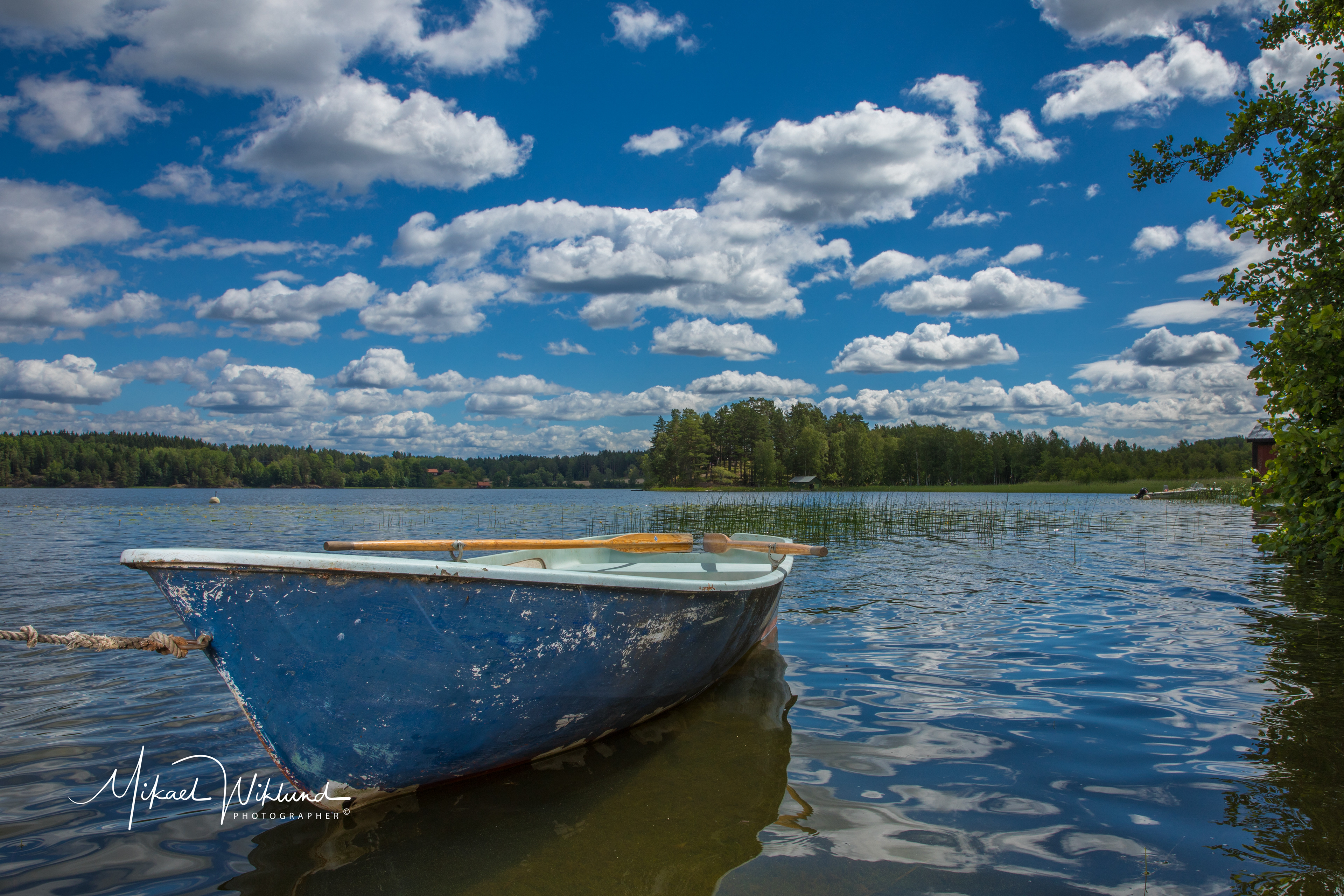 Canon 5D IV, Canon EF 24-70 II - 1/200, f/16, ISO 100, 24mm - 2x Elinchrom ELB 500