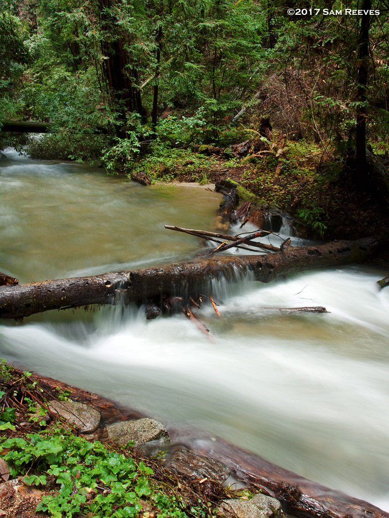 Fall Creek, Felton