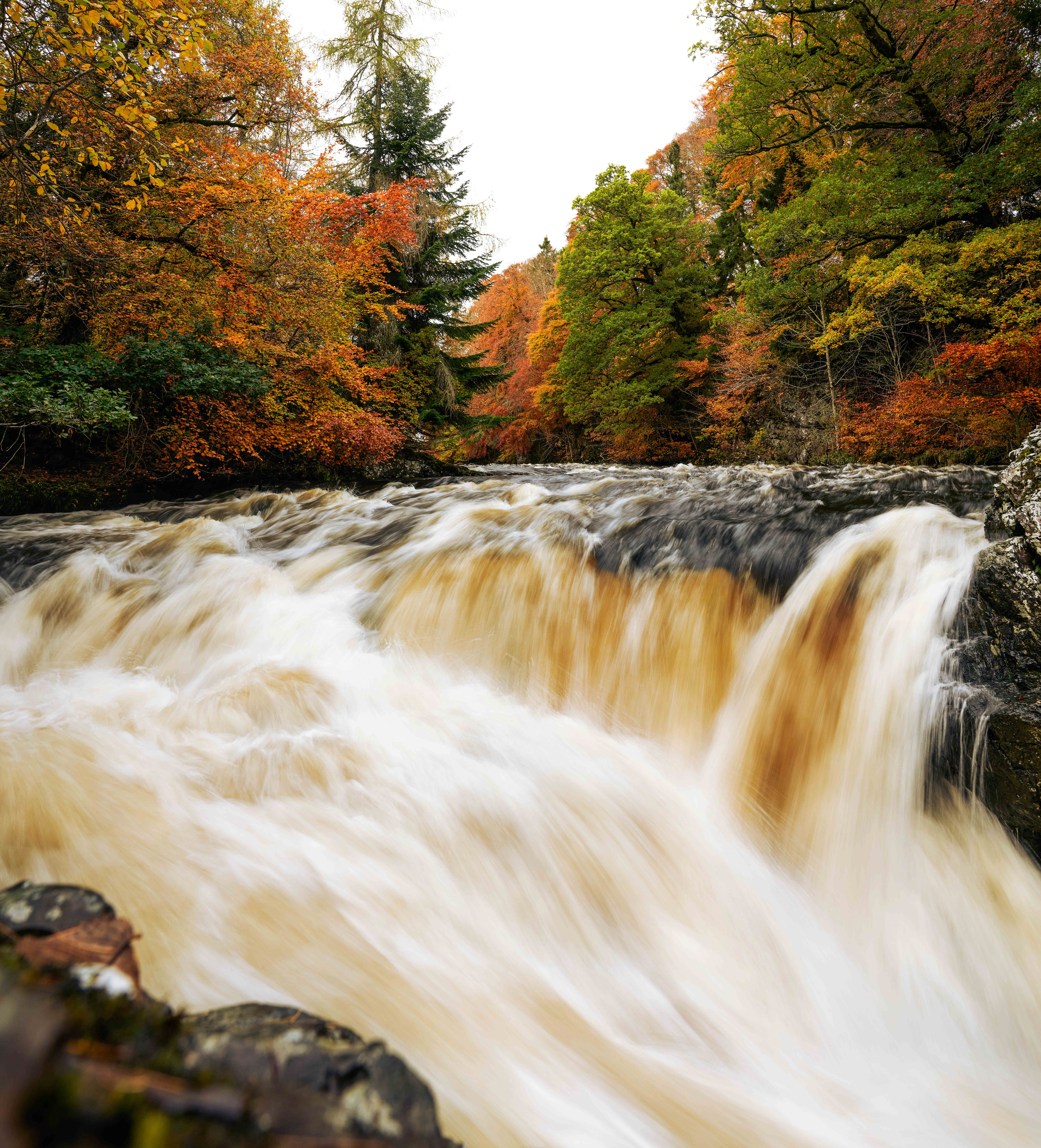 Reekie Linn II