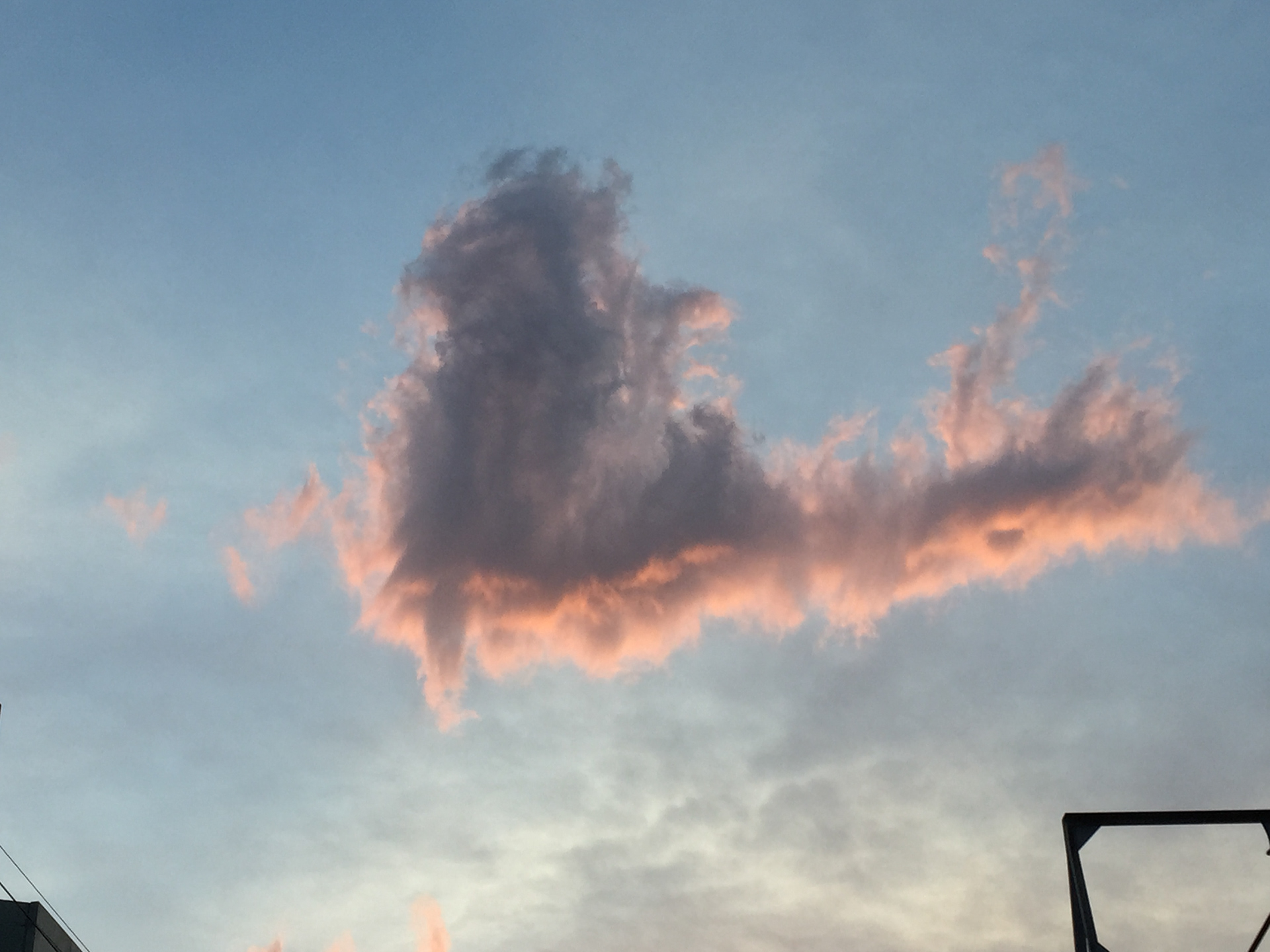 ピンクに染まる雲