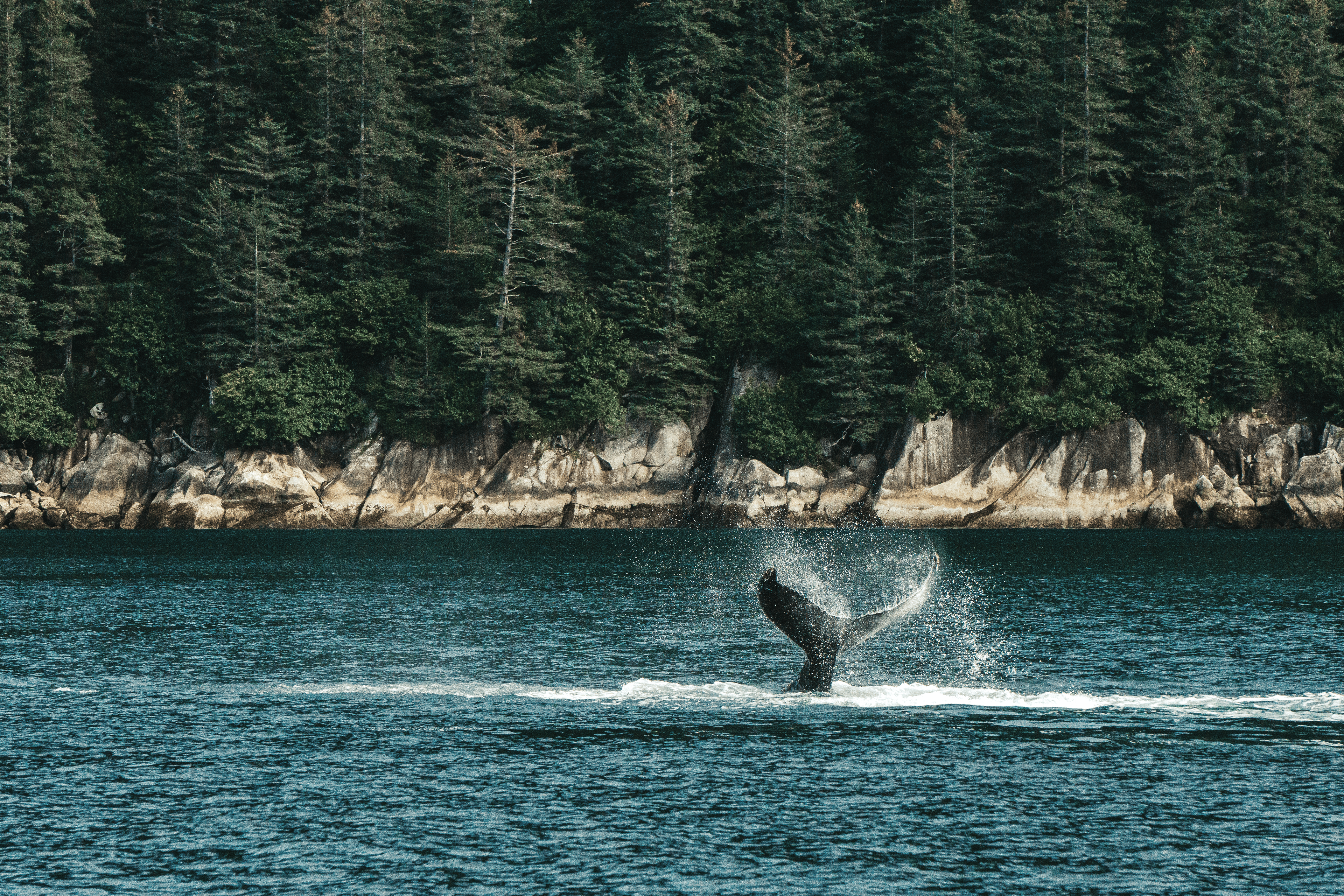 Kenai Fjords National Park