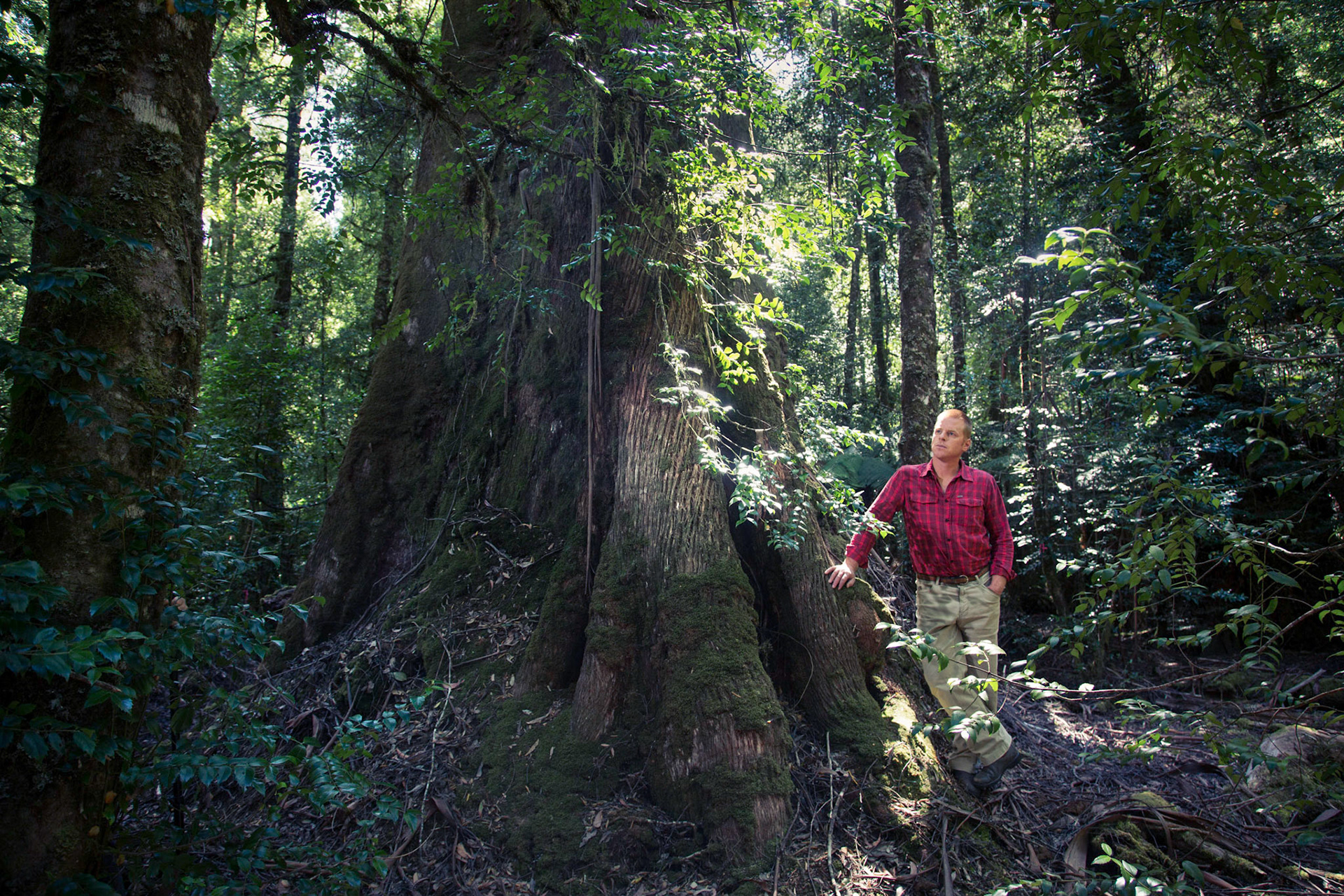 Vica Bayley,  in the Styx Valley in southern Tasmania.