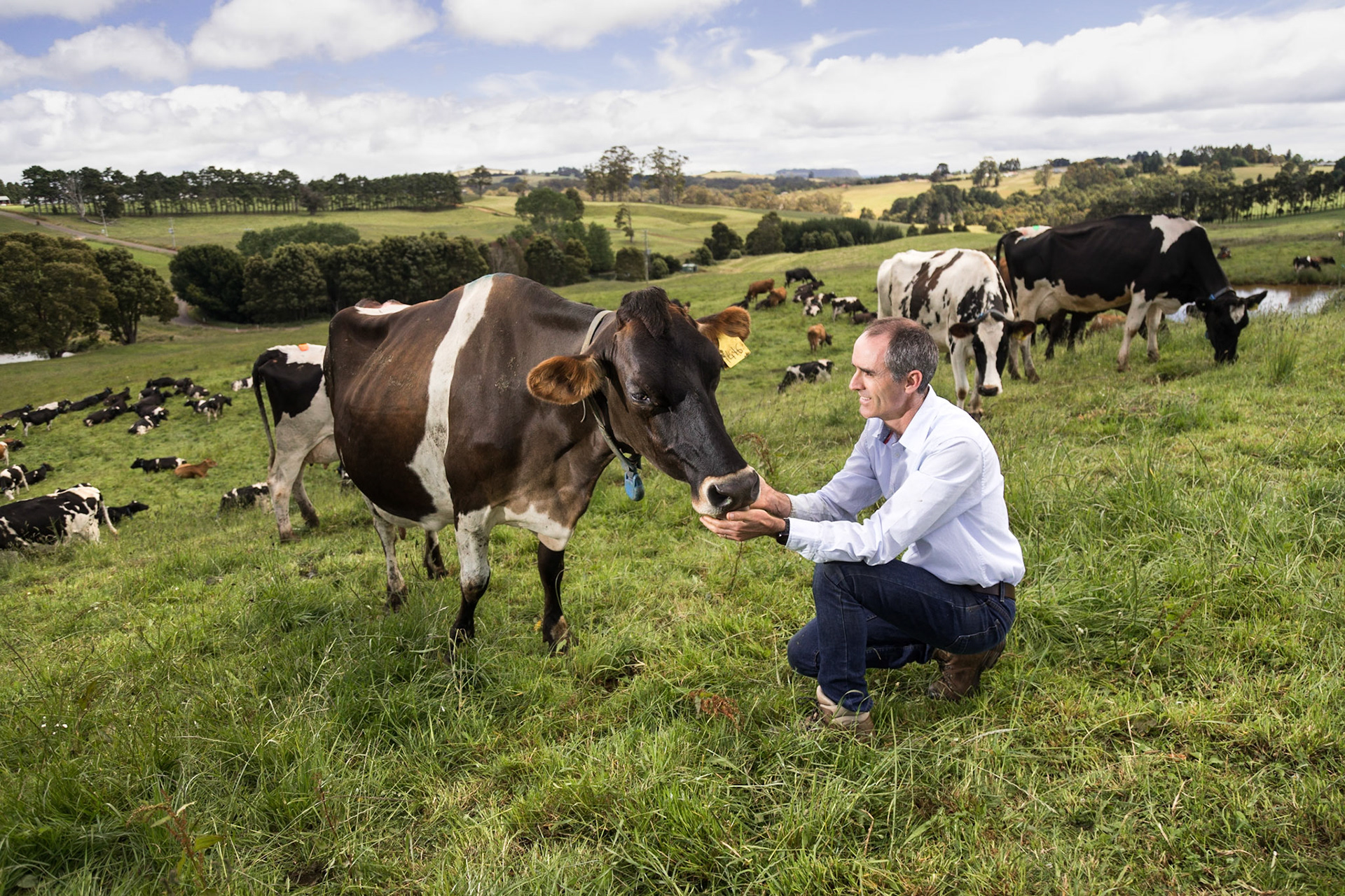 Dr James Hills, the Tasmanian Institute of Agriculture's dairy leader, at Elliot in the north west of Tasmania 9/12/2020