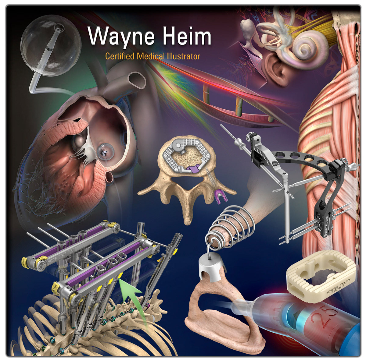 Medical Illustration Certified Medical Illustrator