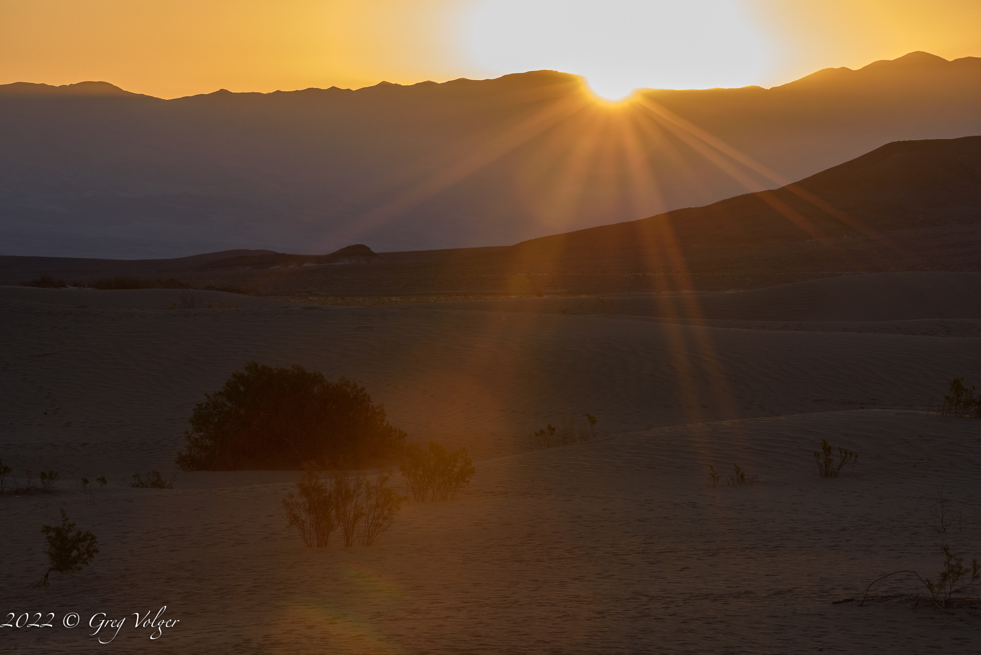 Mesquite Sand Dunes