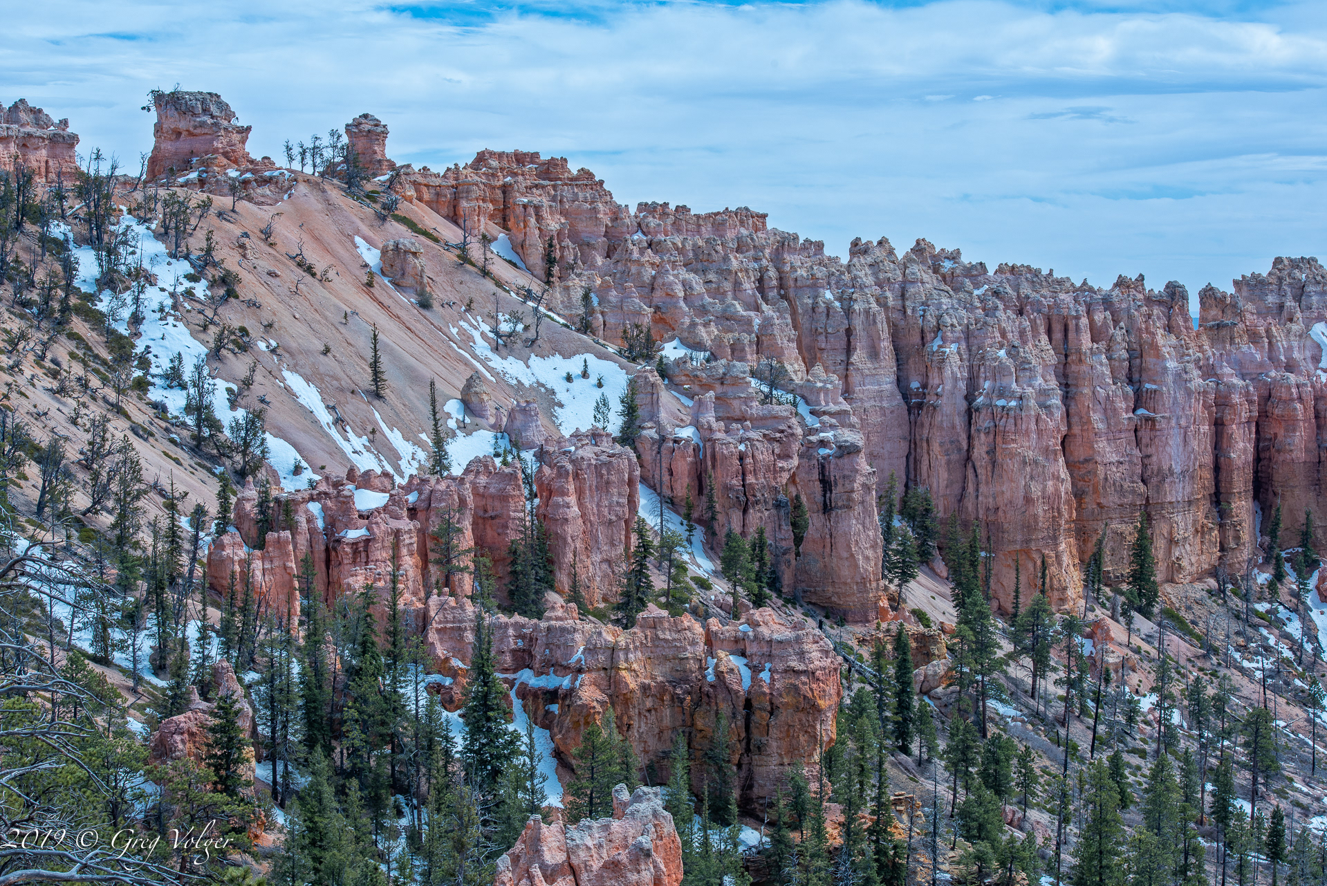 Bryce