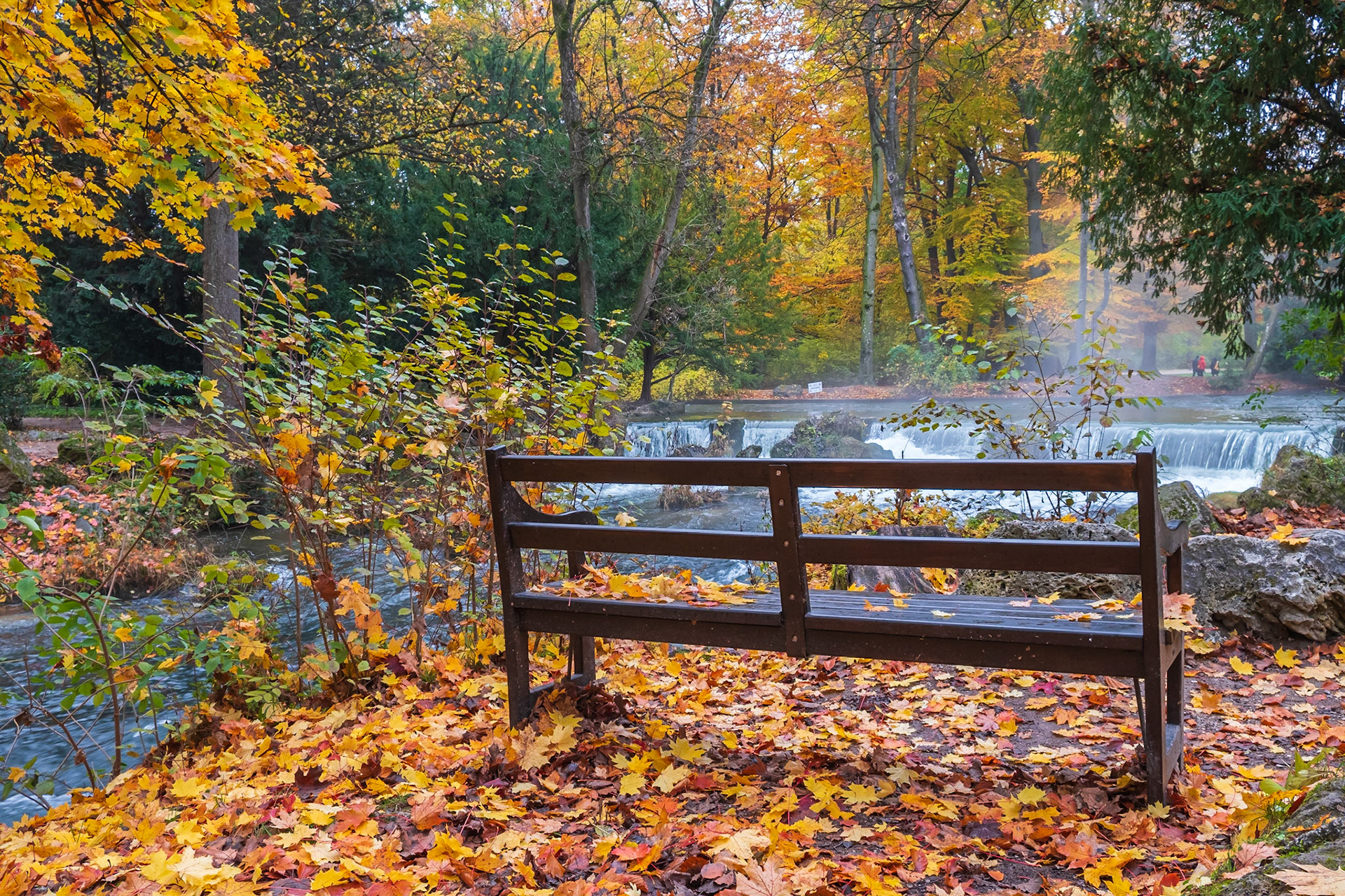 2019 | Germany, Munich | Englischen Garten