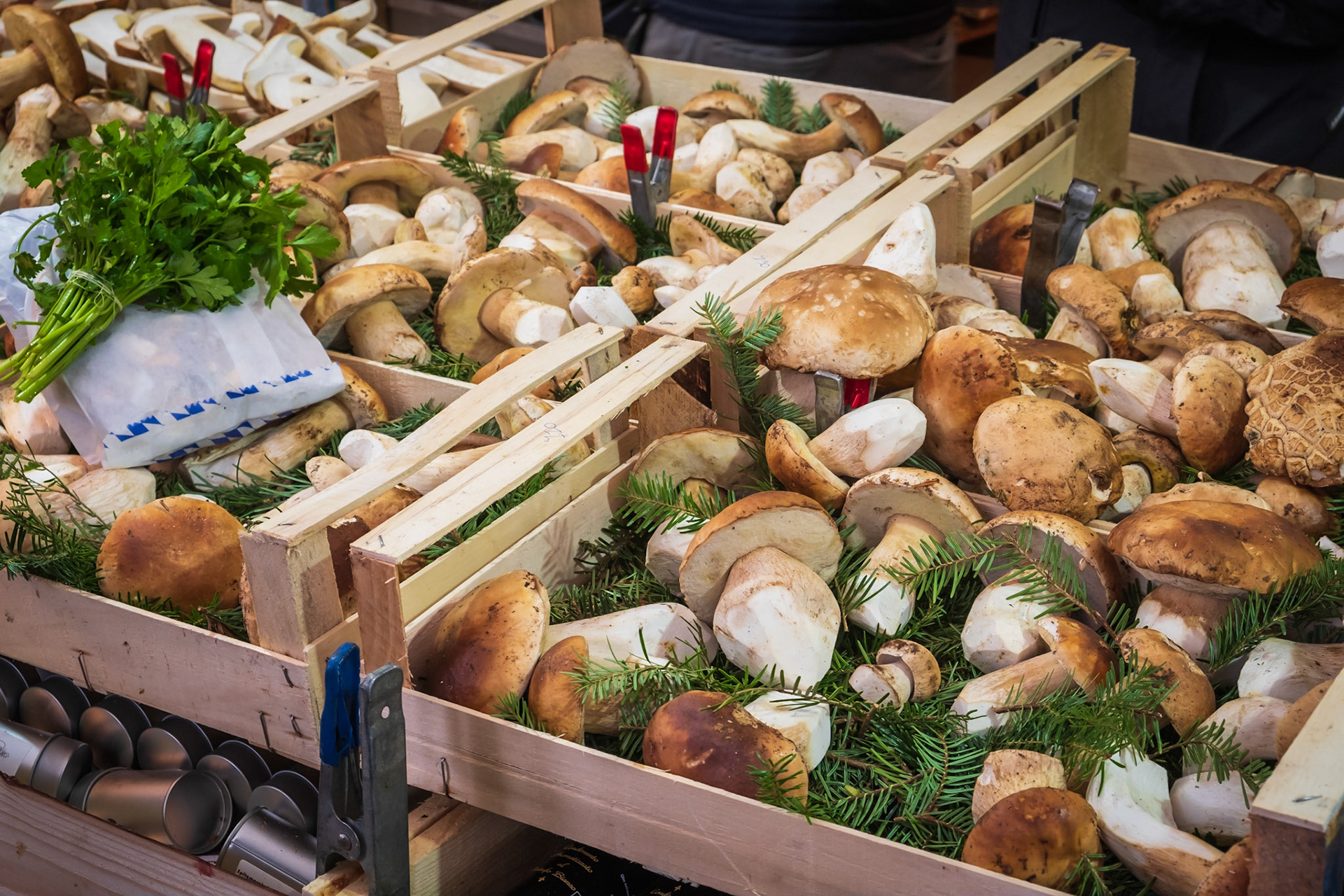 2019 | Germany, Munich | Viktualienmarkt