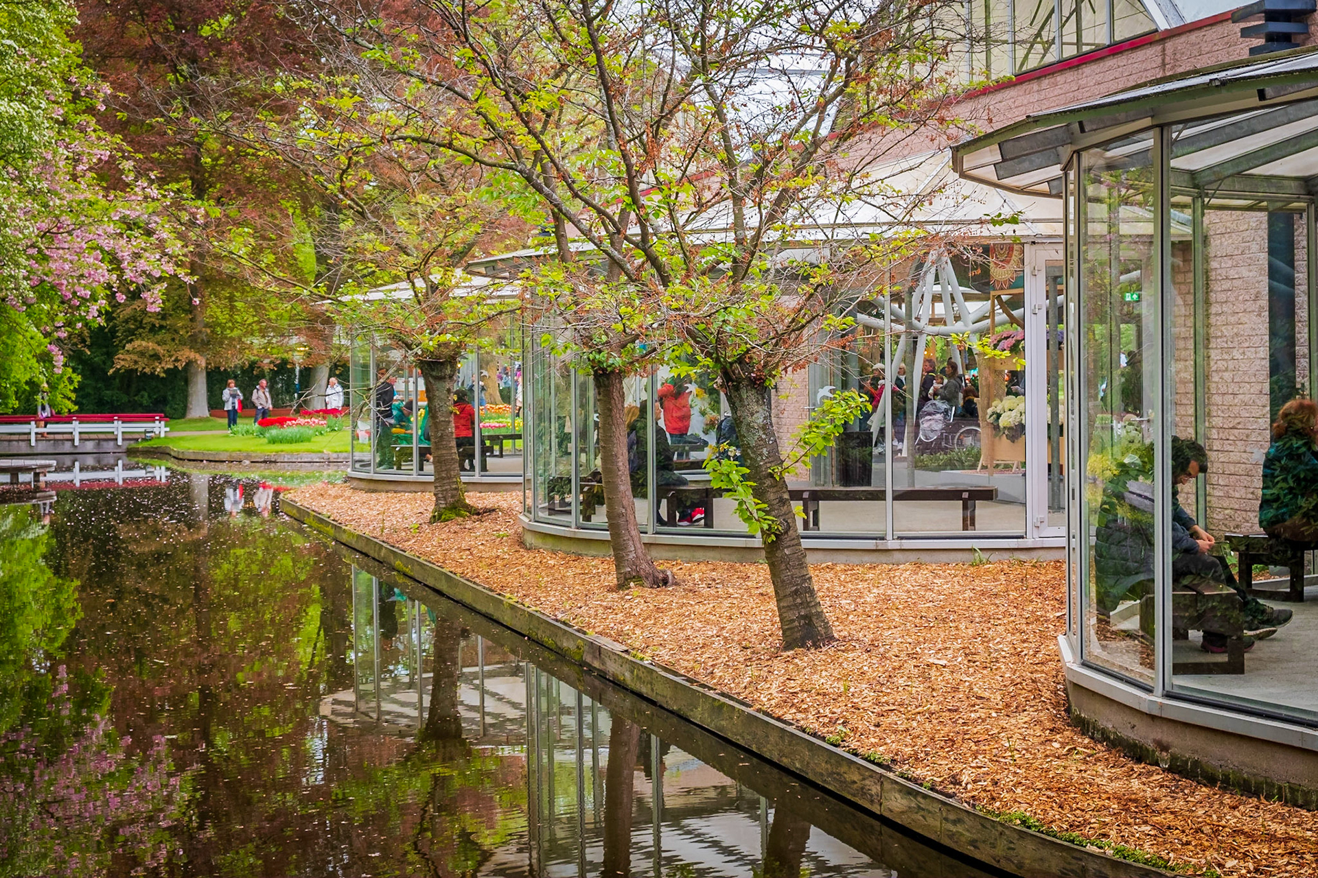 2019 | Netherlands, Keukenhof