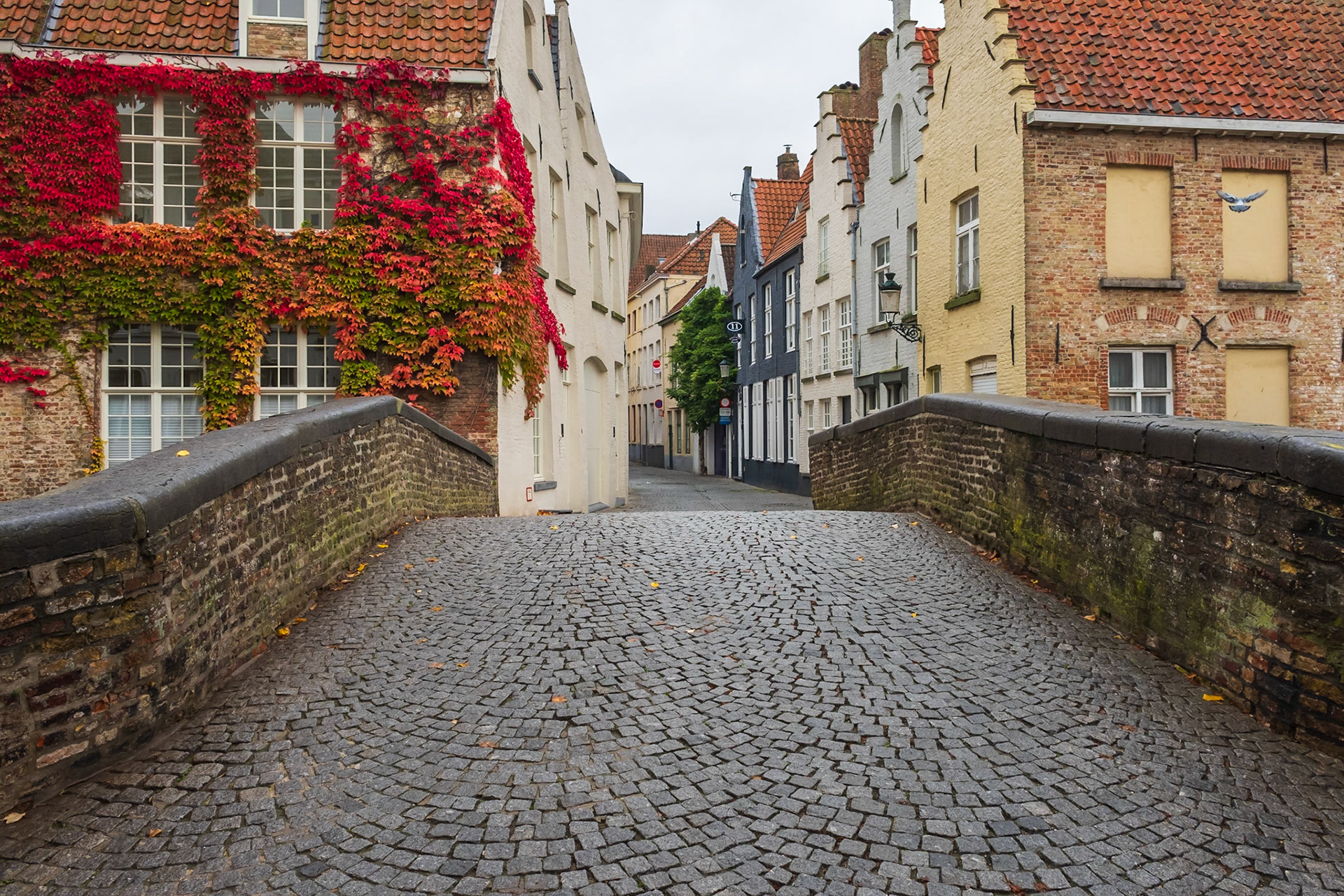 2019 | Belgium, Brugges | Groenerei