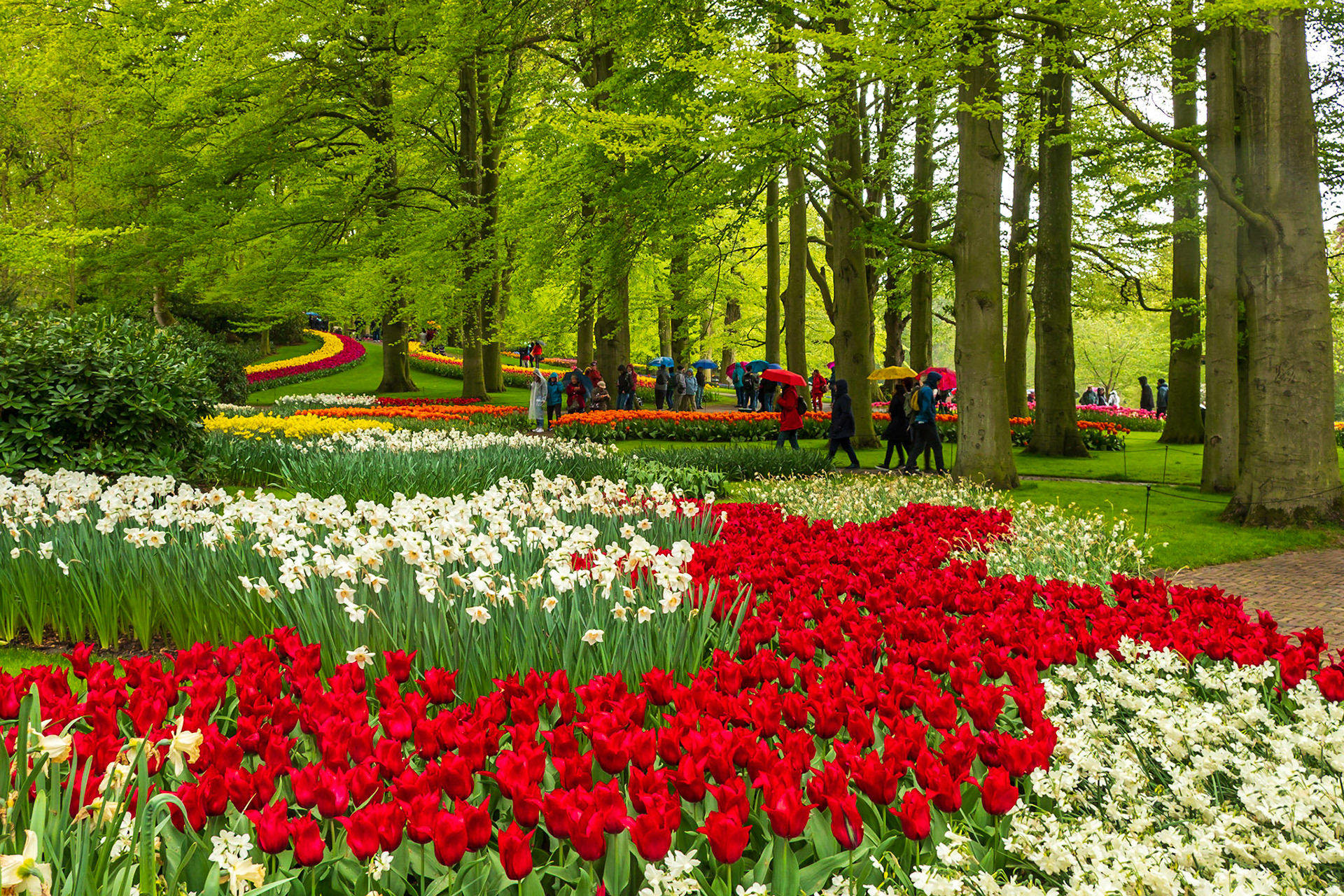 2019 | Netherlands, Keukenhof