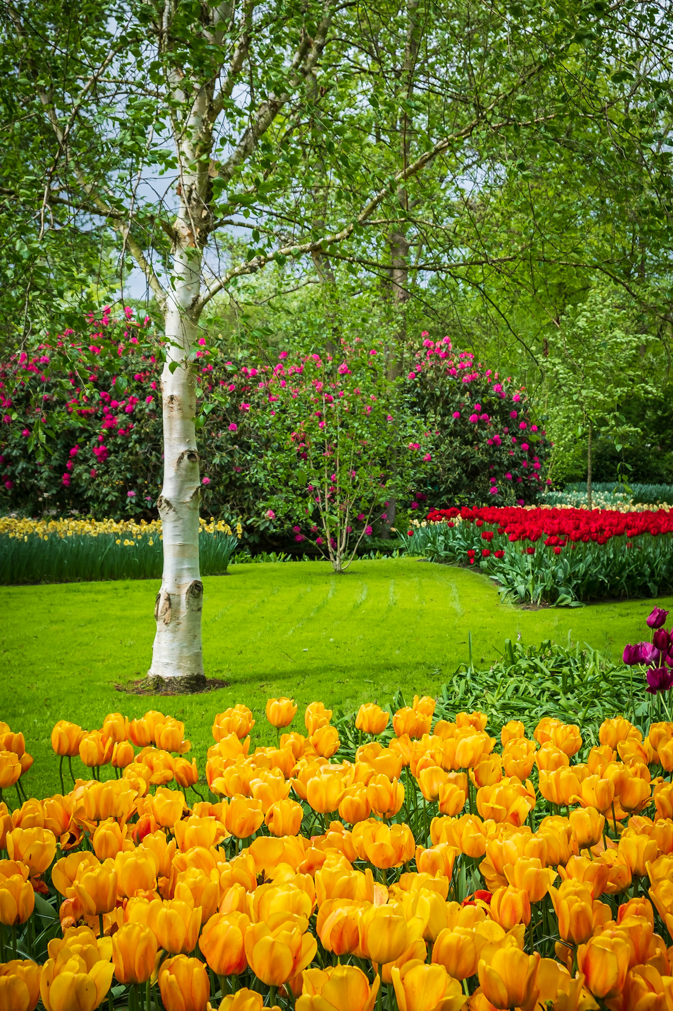 2019 | Netherlands, Keukenhof