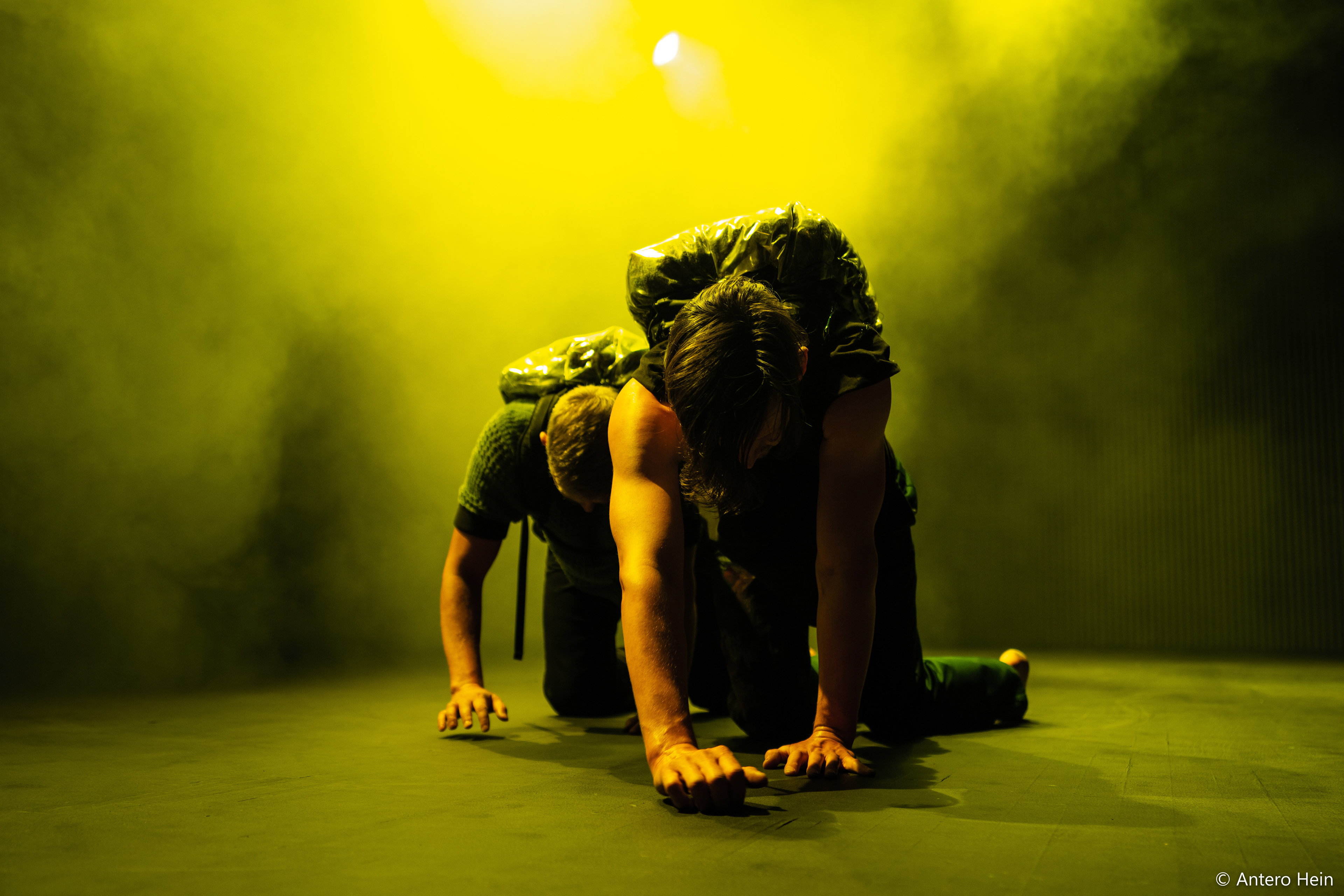 Photo by Antero Hein