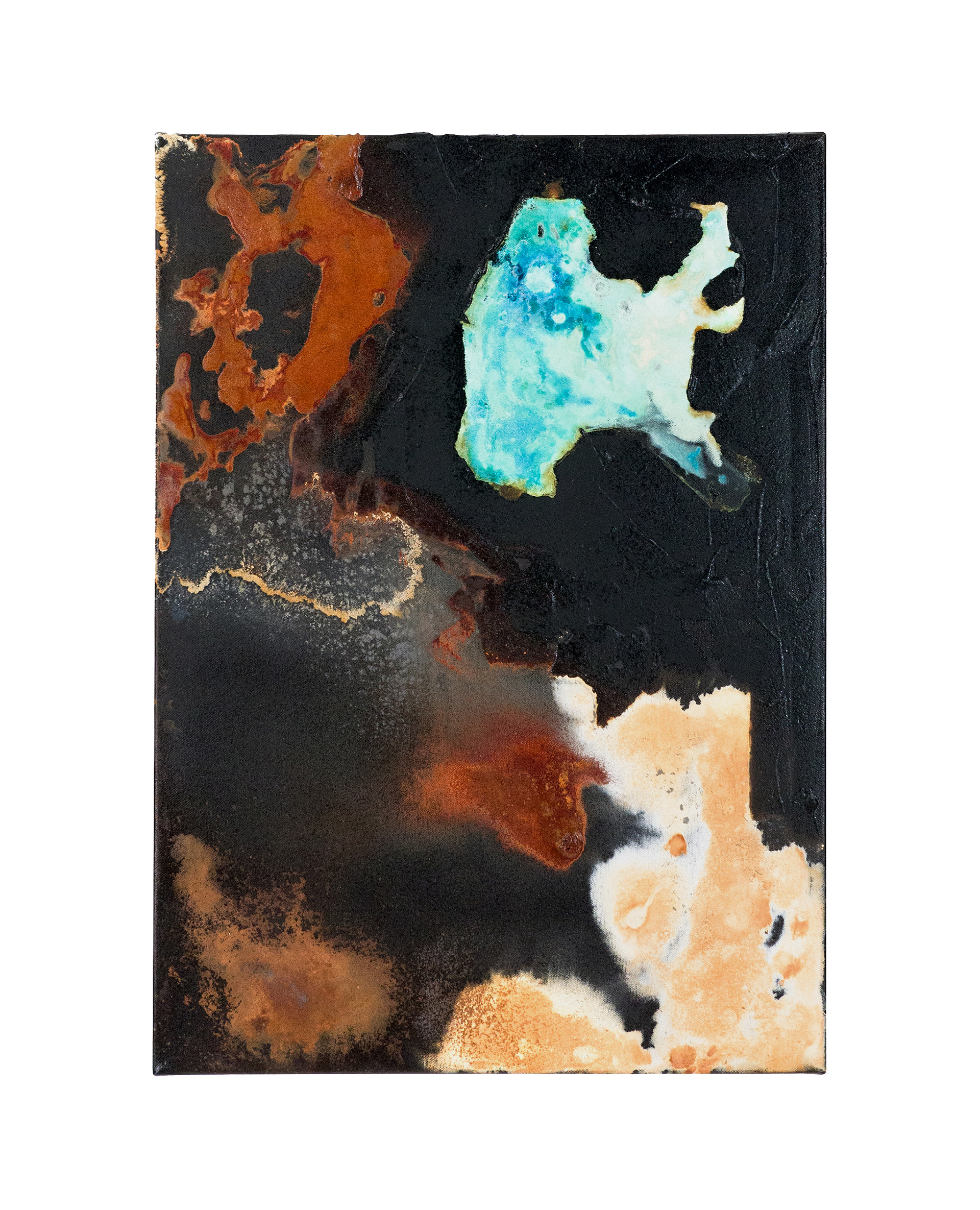 Tailings Pond 10 - 70 x 50 cm - 2017 - emulsion paint, bitumen, plaster of Paris, copper, iron, salt, ammonia, acid and synthetic resin on canvas