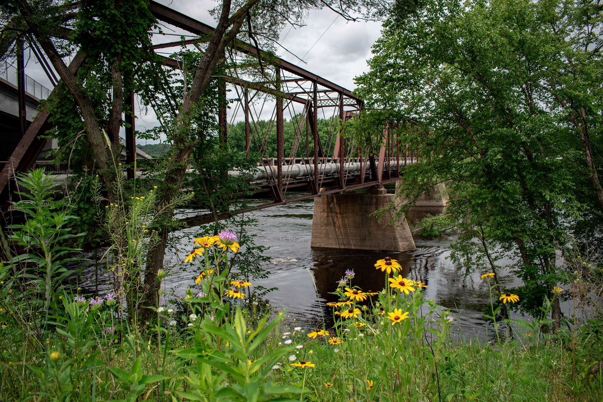 Clairemont Chippewa Crossing #1