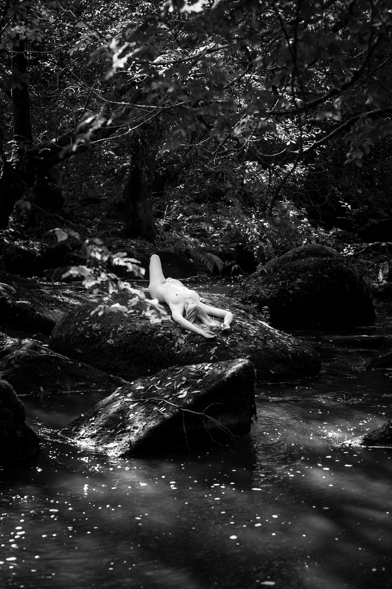 SONY DSC