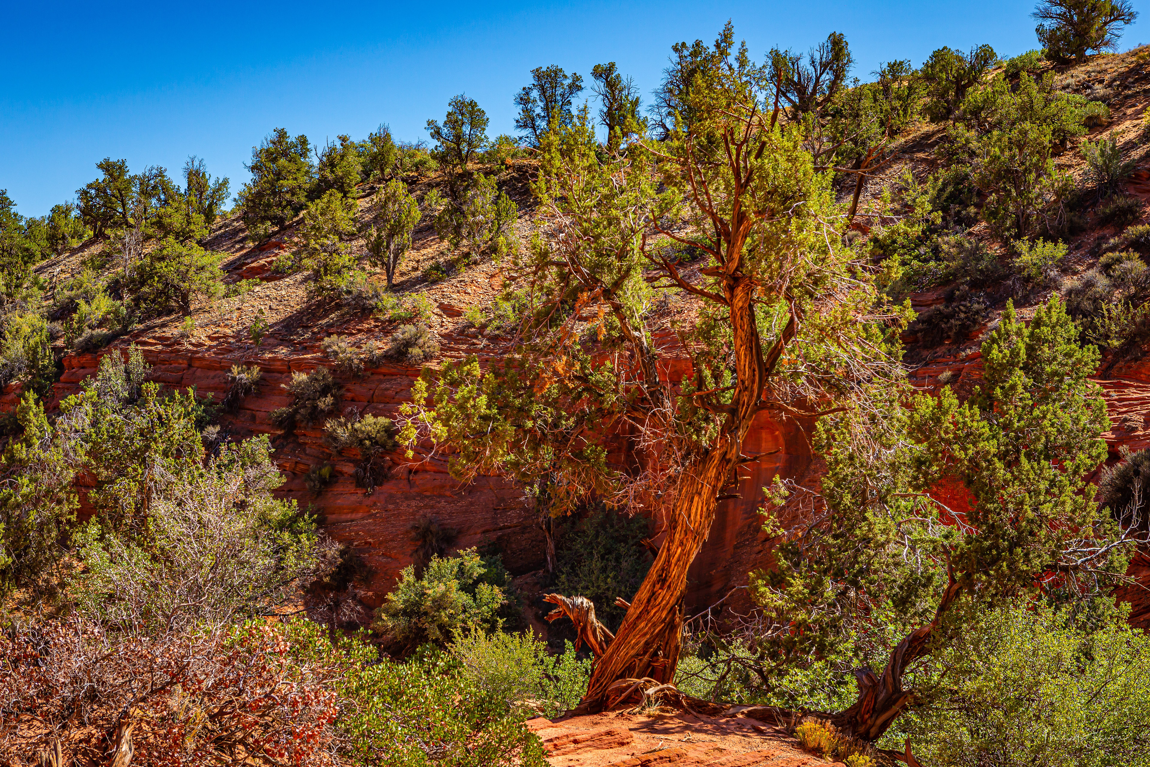 Peekaboo Slot Canyon