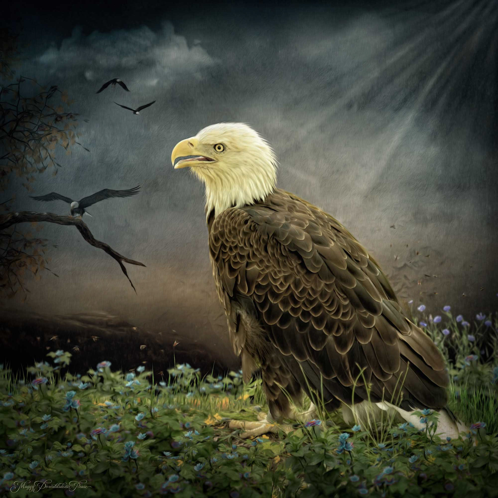 Ari the Eagle