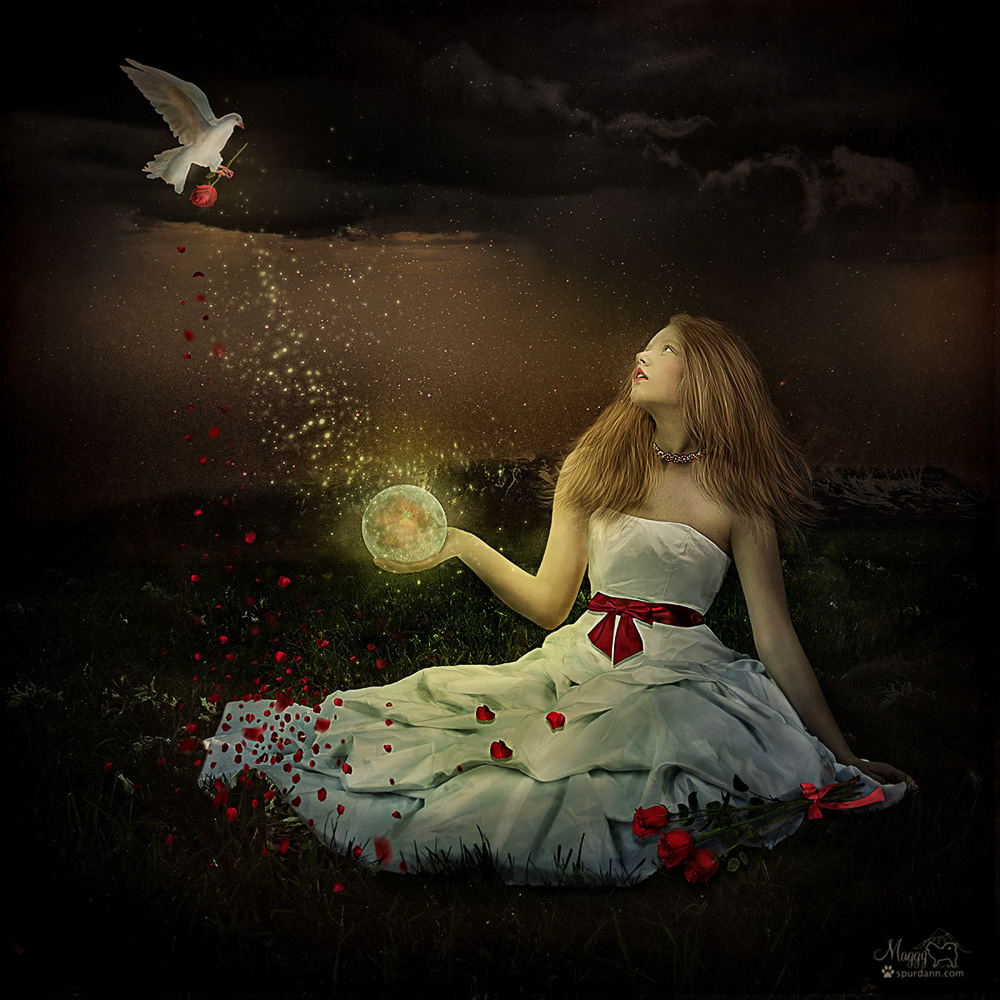 Rose Petals