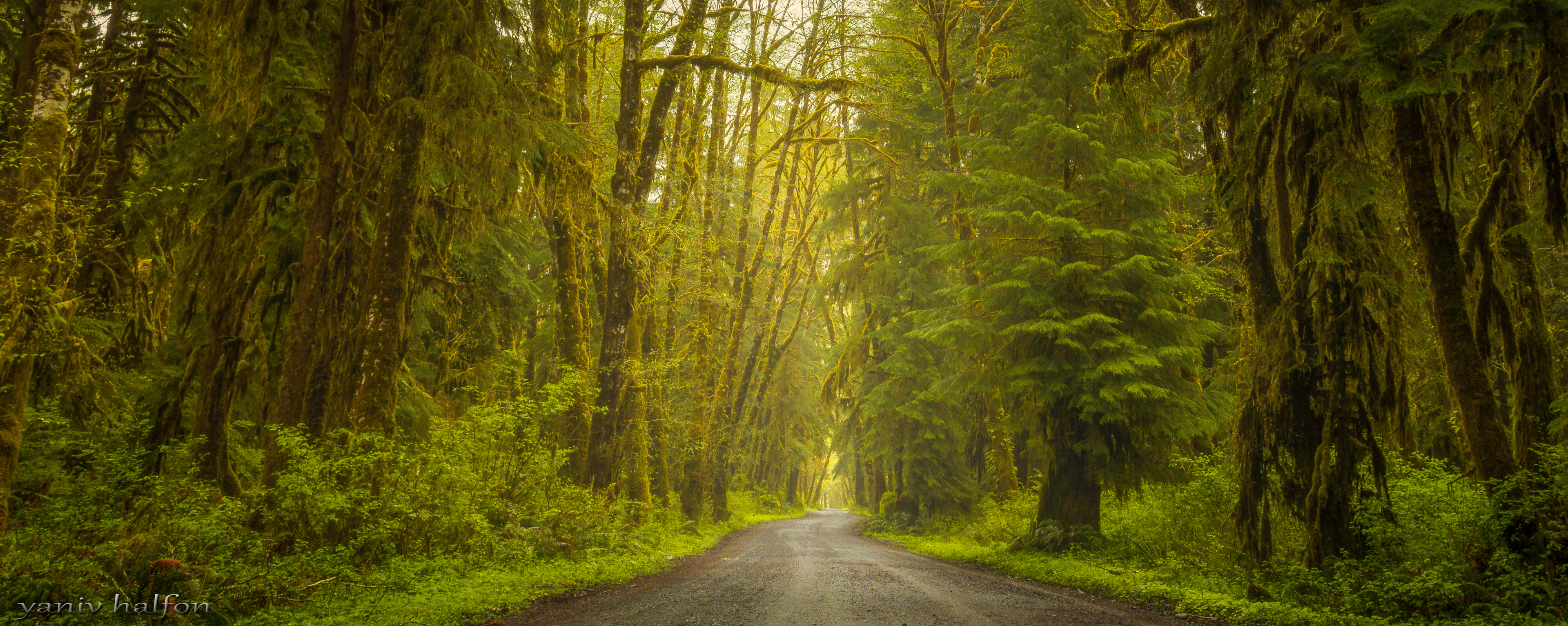 Lake Quinault, Washington