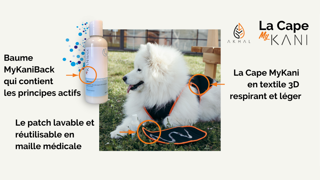 cape-mykani-traitement-arthrose-huile-essentielle-chien