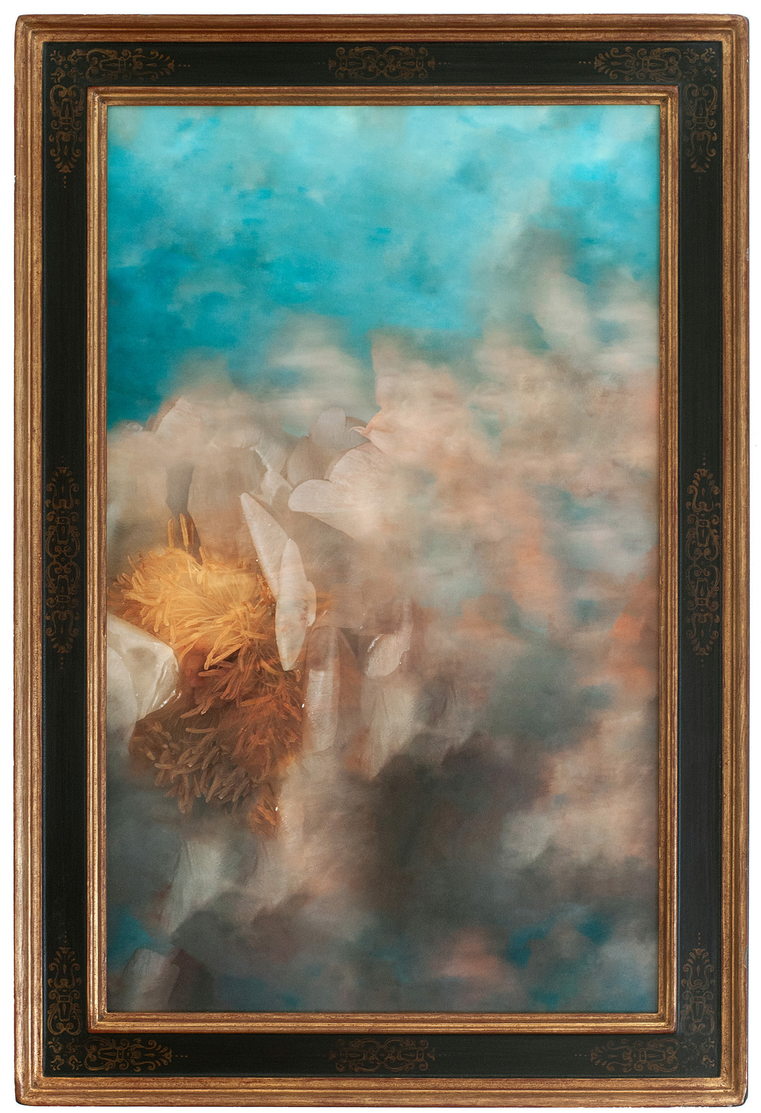 Galerie du projet Naufragia.