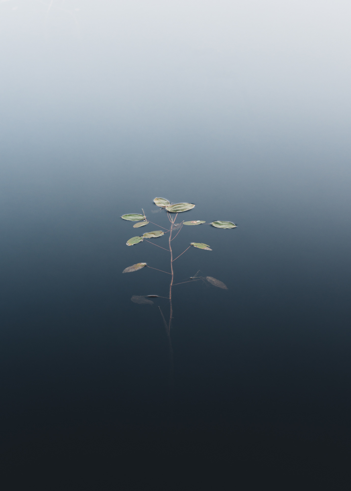 Details in Water