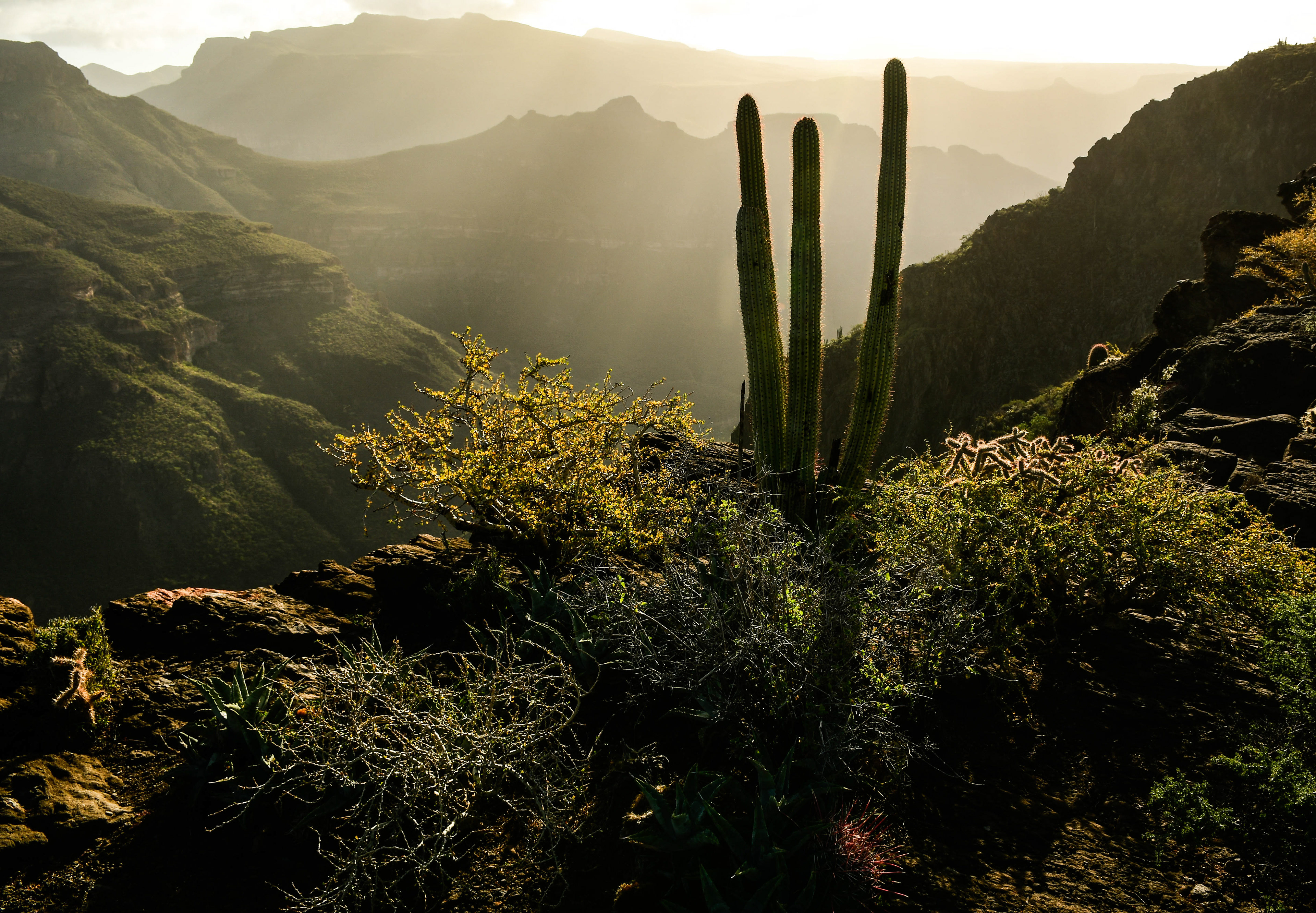 Sierra de San Francisco