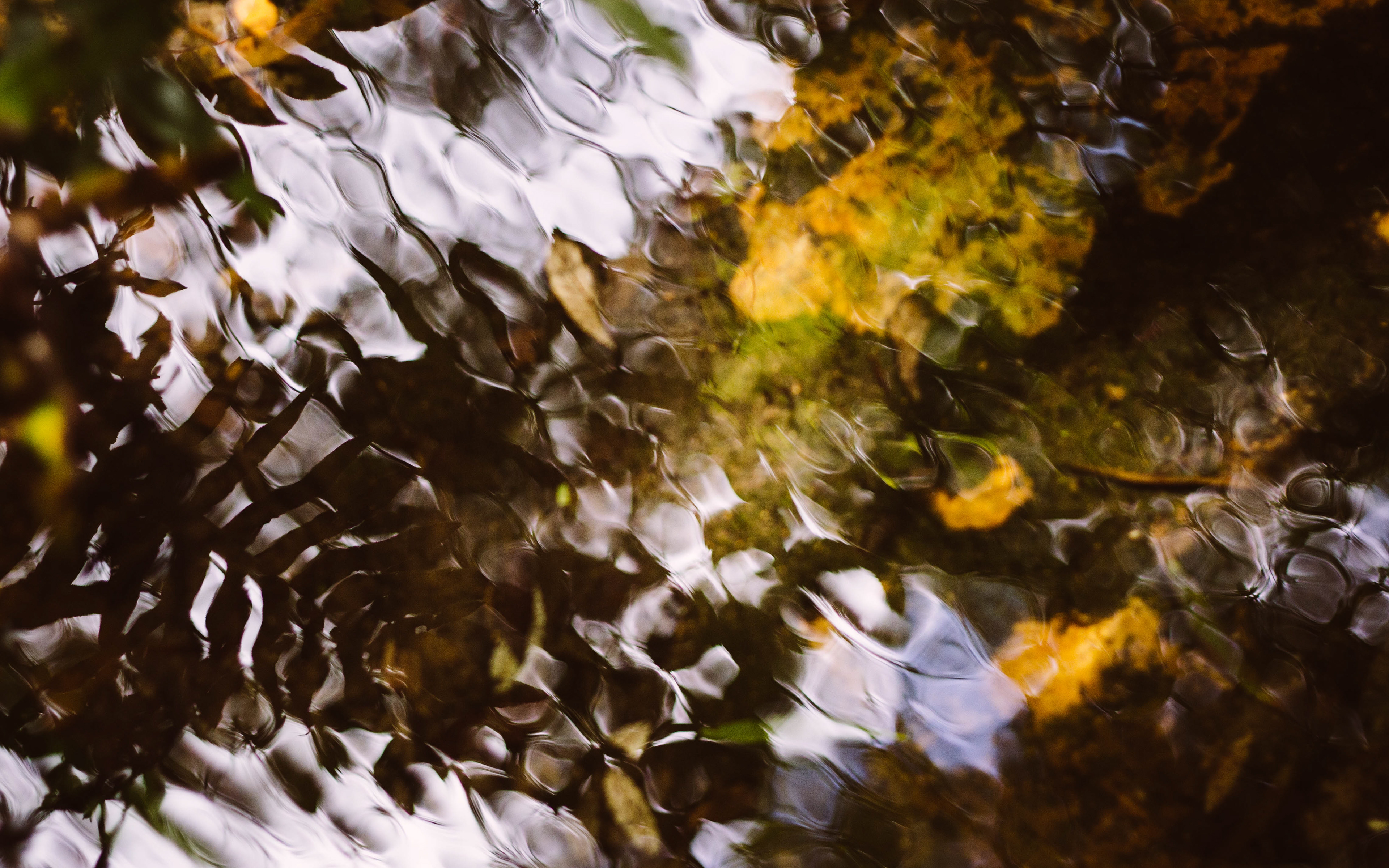puddles #2