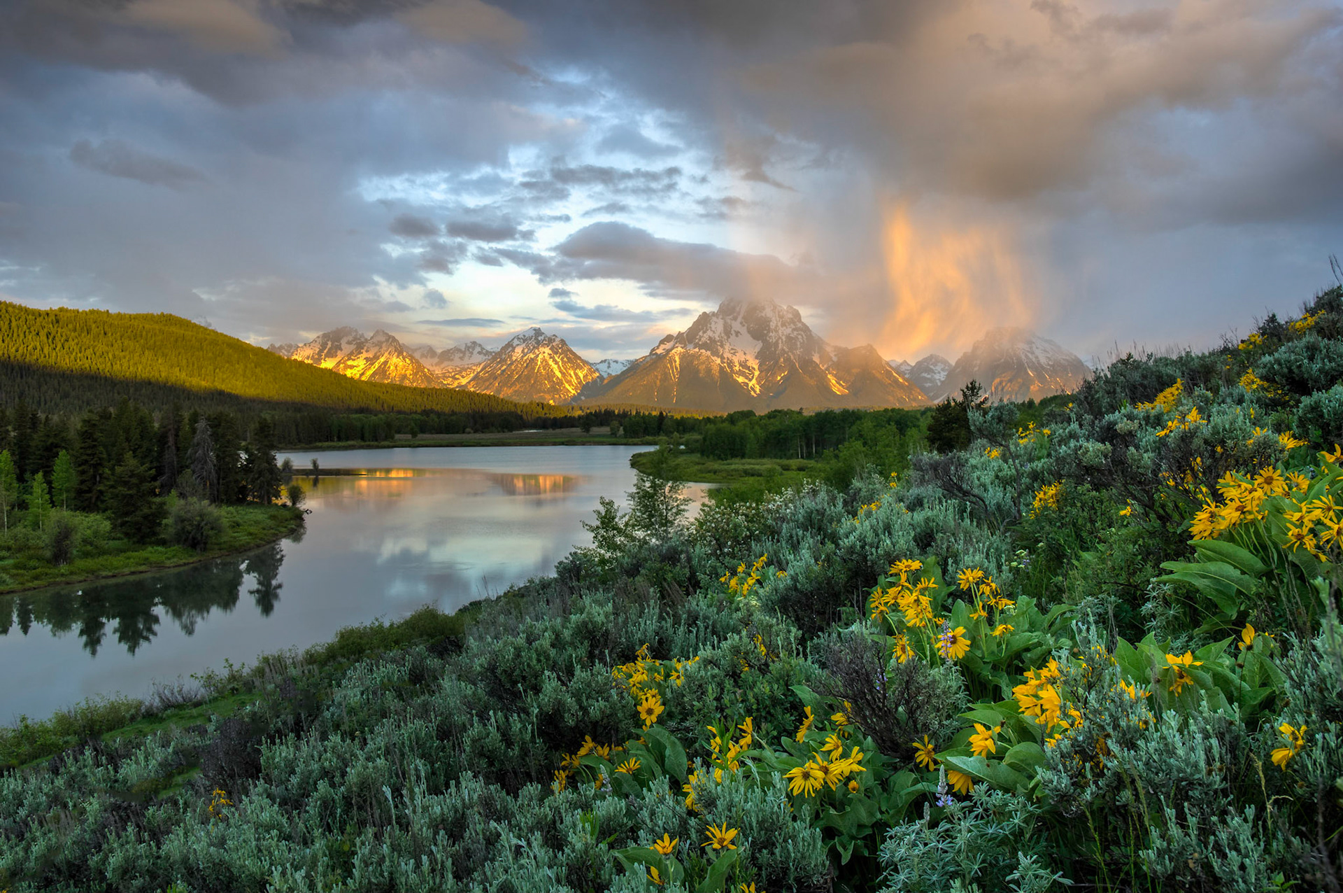 Echoes of GoldGrand Teton National ParkWyomingJune 16, 2014PENTAX K-3, Sigma 18-250mm f/3.5-6.3 DC OS HSMISO 100 21 mm  ¹⁄₁₀ sec at ƒ / 11